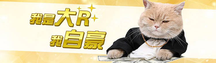 我是大R 我自豪