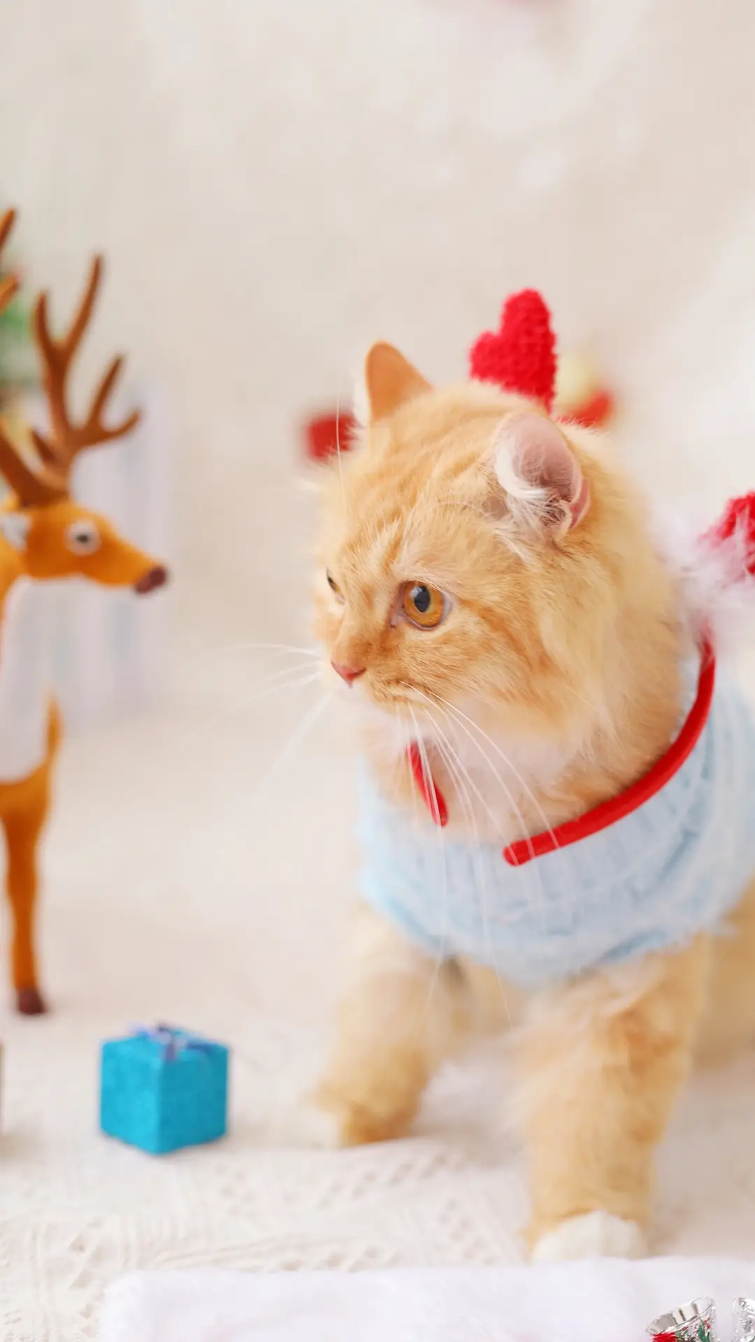 毛绒绒猫咪 - Screenshot 1