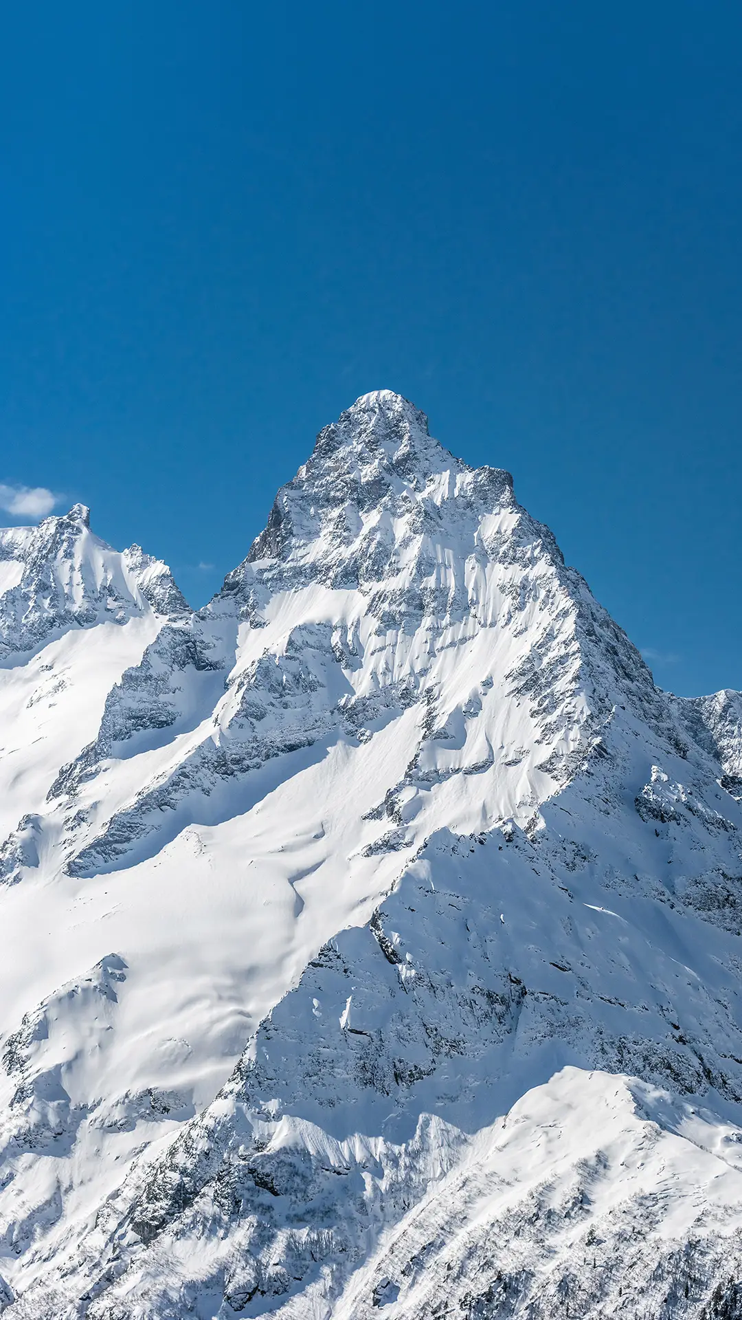 小雪节日的冷知识，你了解吗？ - Screenshot 1