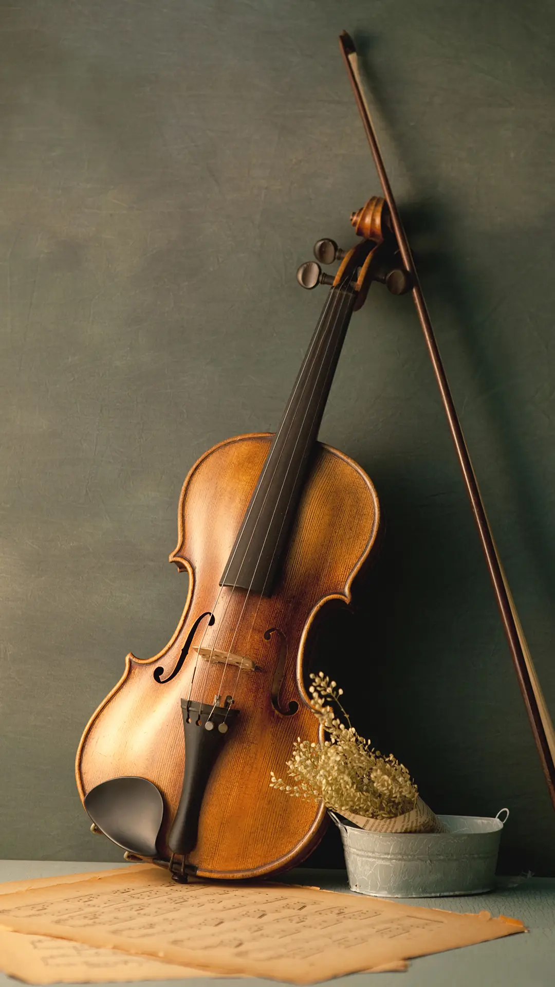 如何学习小提琴？