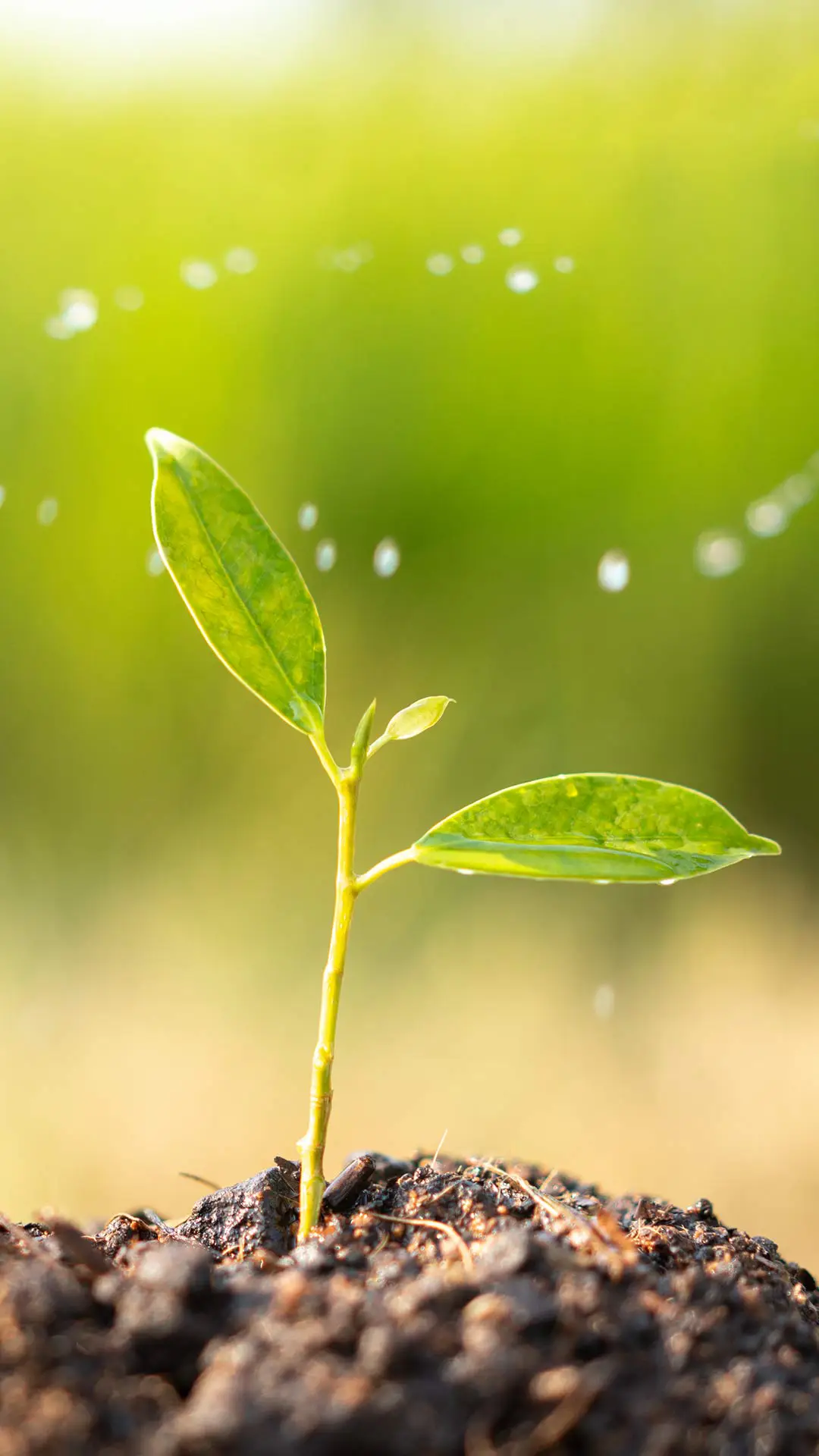 不忘初心-视觉中国