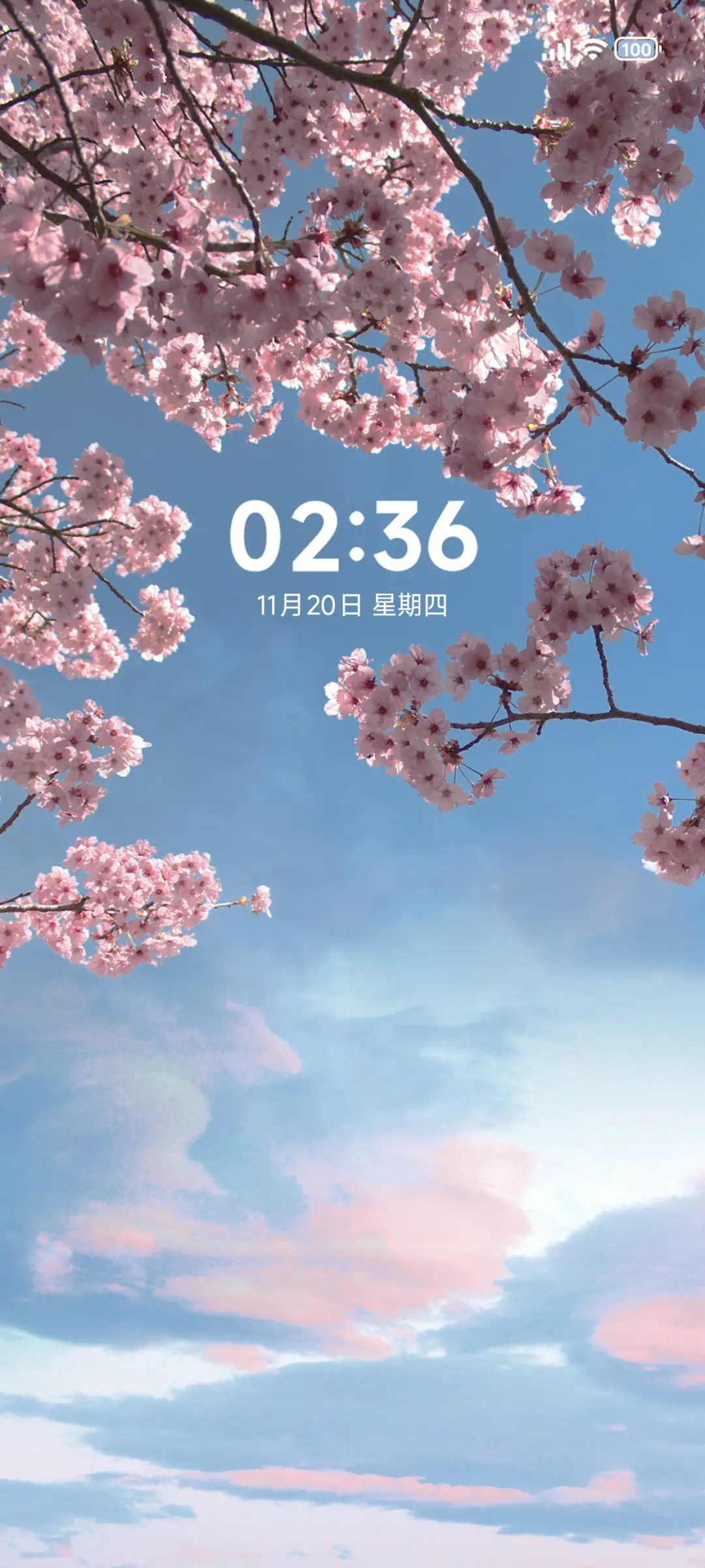 简约花 - Screenshot 1