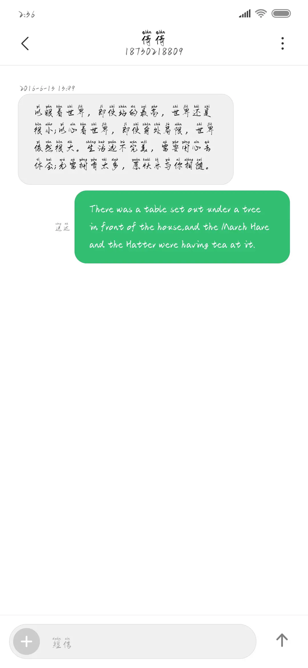 冰河拼音体 - Screenshot 3