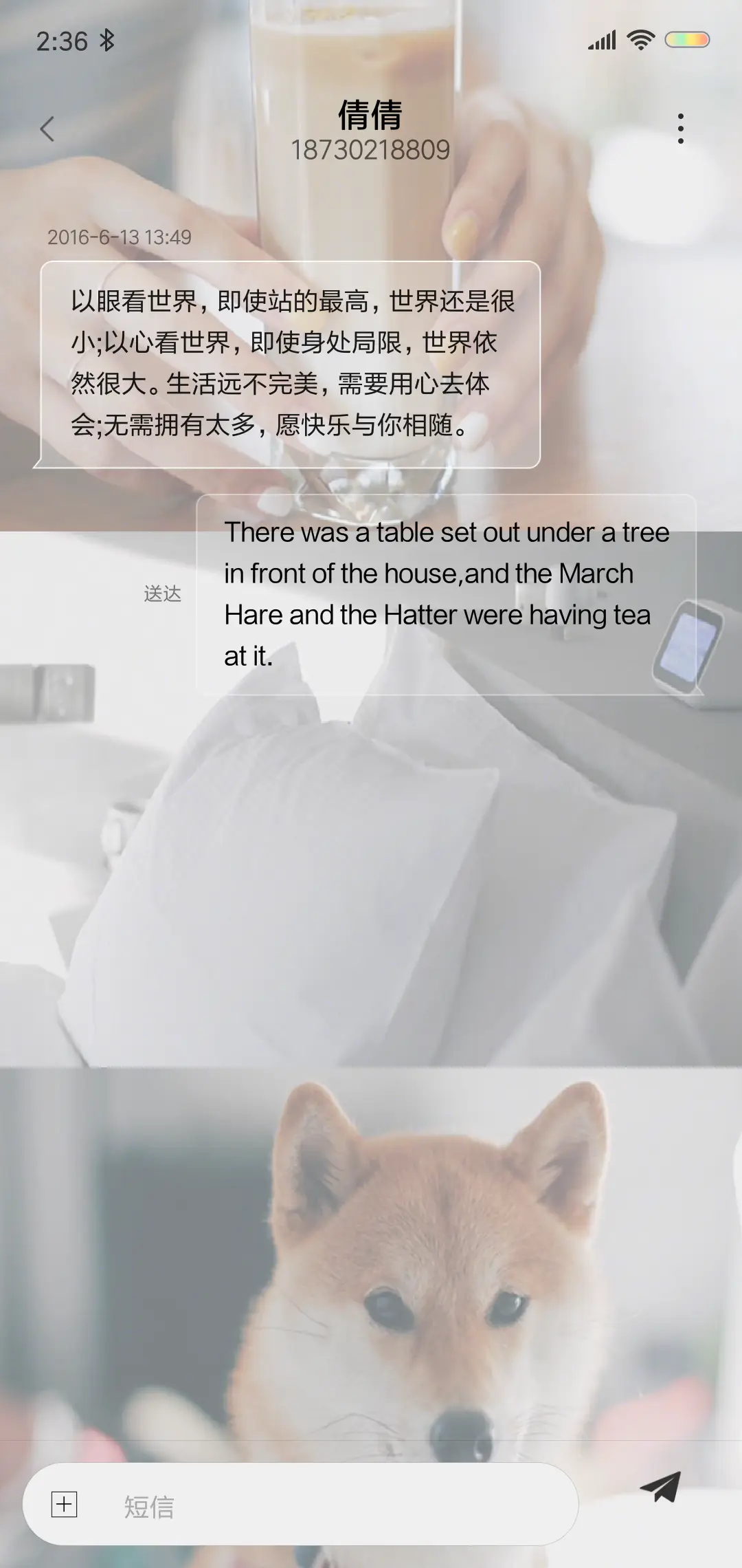 淘气崽 - Screenshot 8