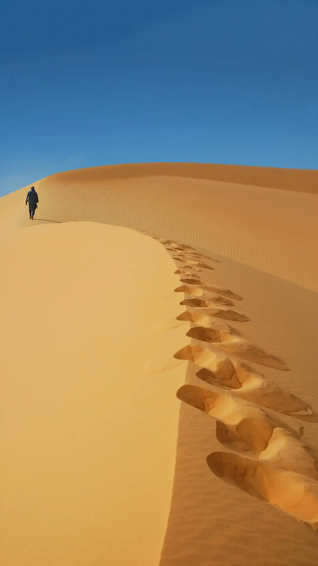 辽阔的沙漠-锐景创意 - Screenshot 1