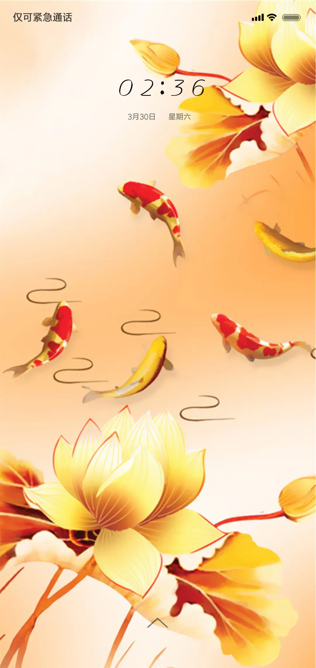 中国风 年年有余