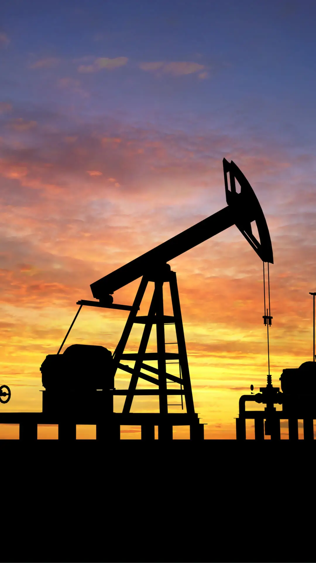 我国石油资源丰富程度