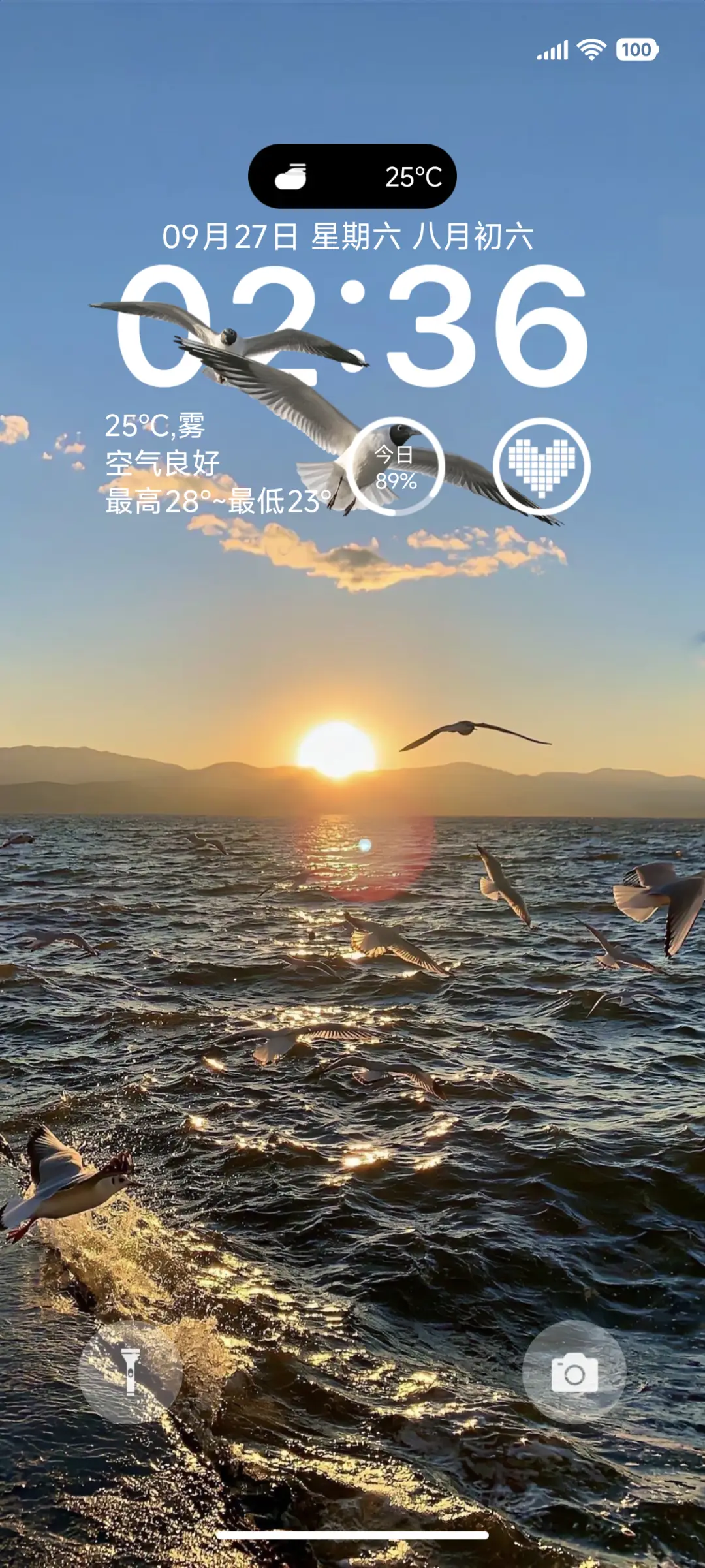 ins海鸥 THEME for Xiaomi MIUI HyperOS