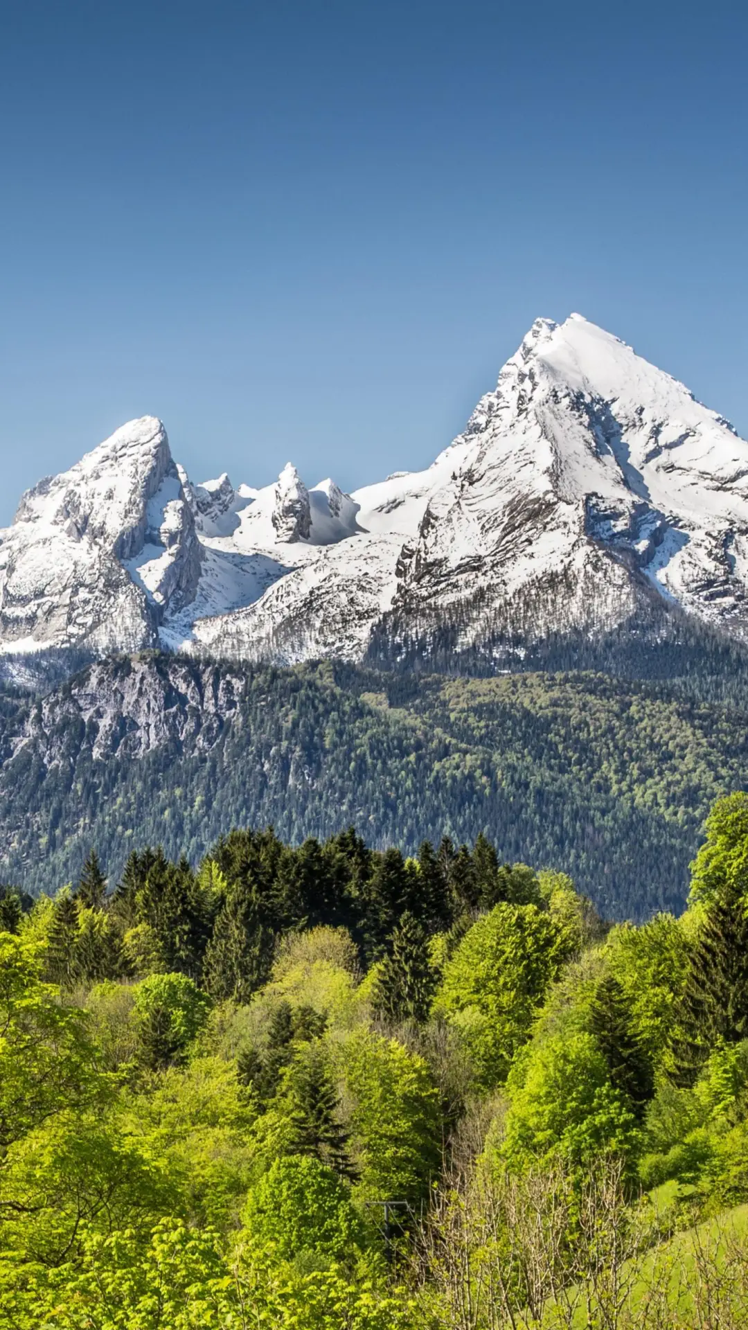 乞力马扎罗的雪