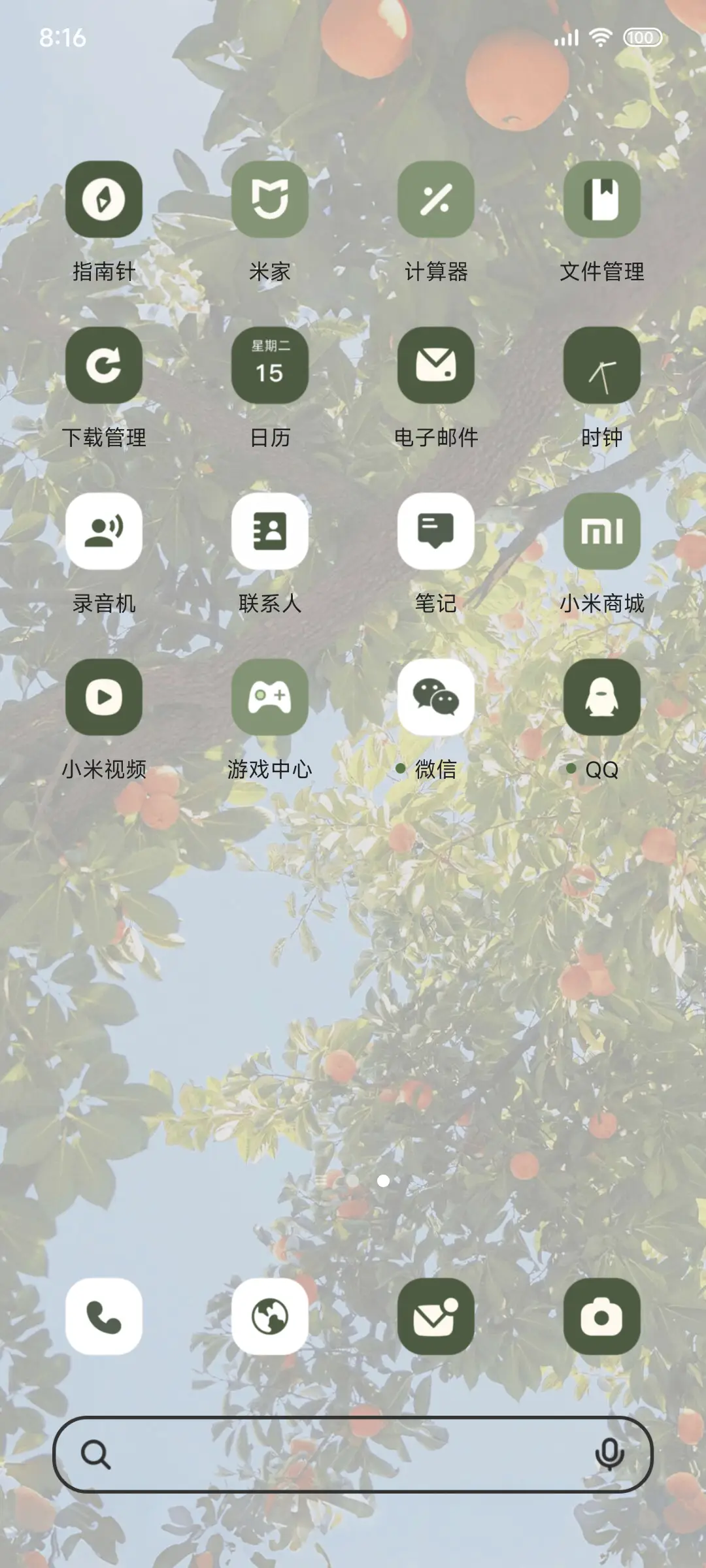 晴日橘影 猫憩枝头 - Screenshot 4