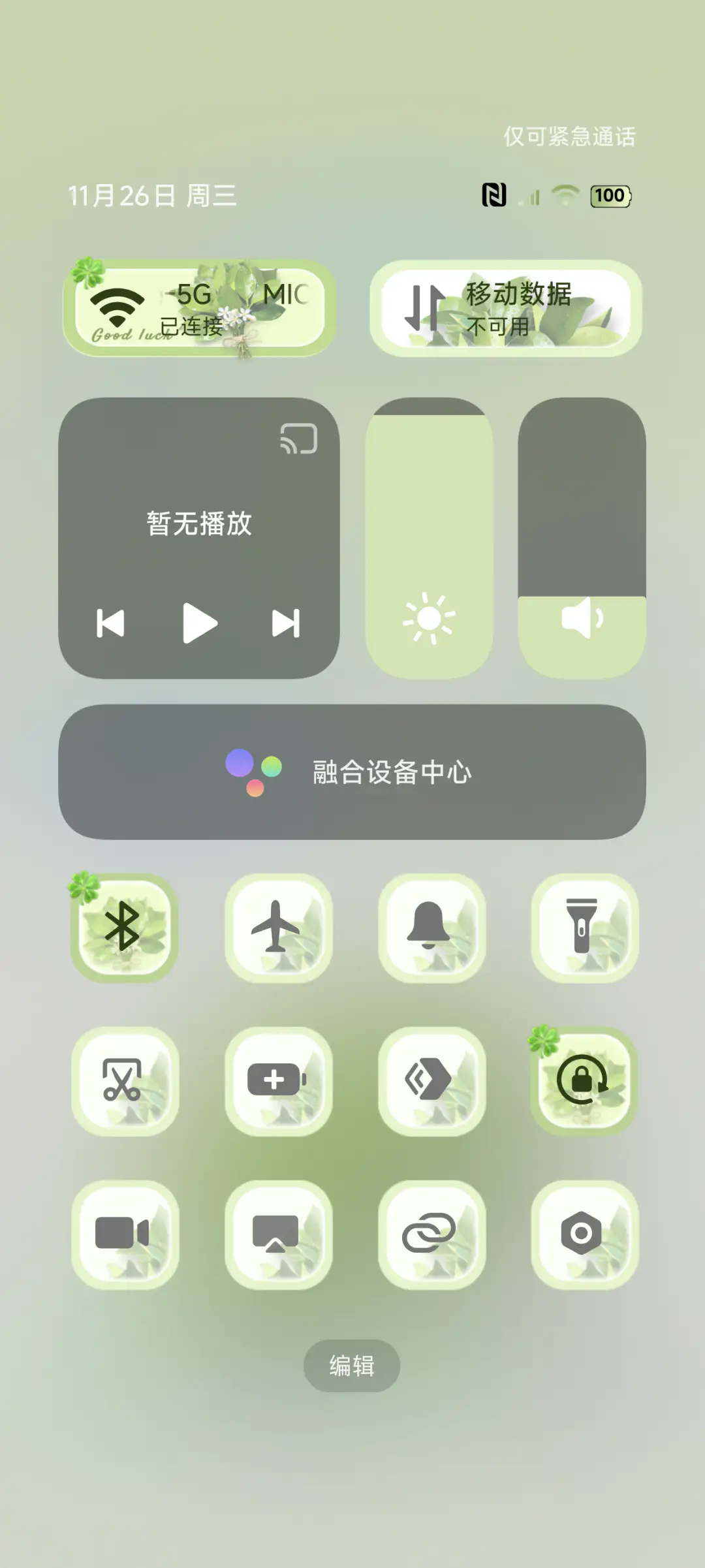 大图标柚子叶护体 - Screenshot 5
