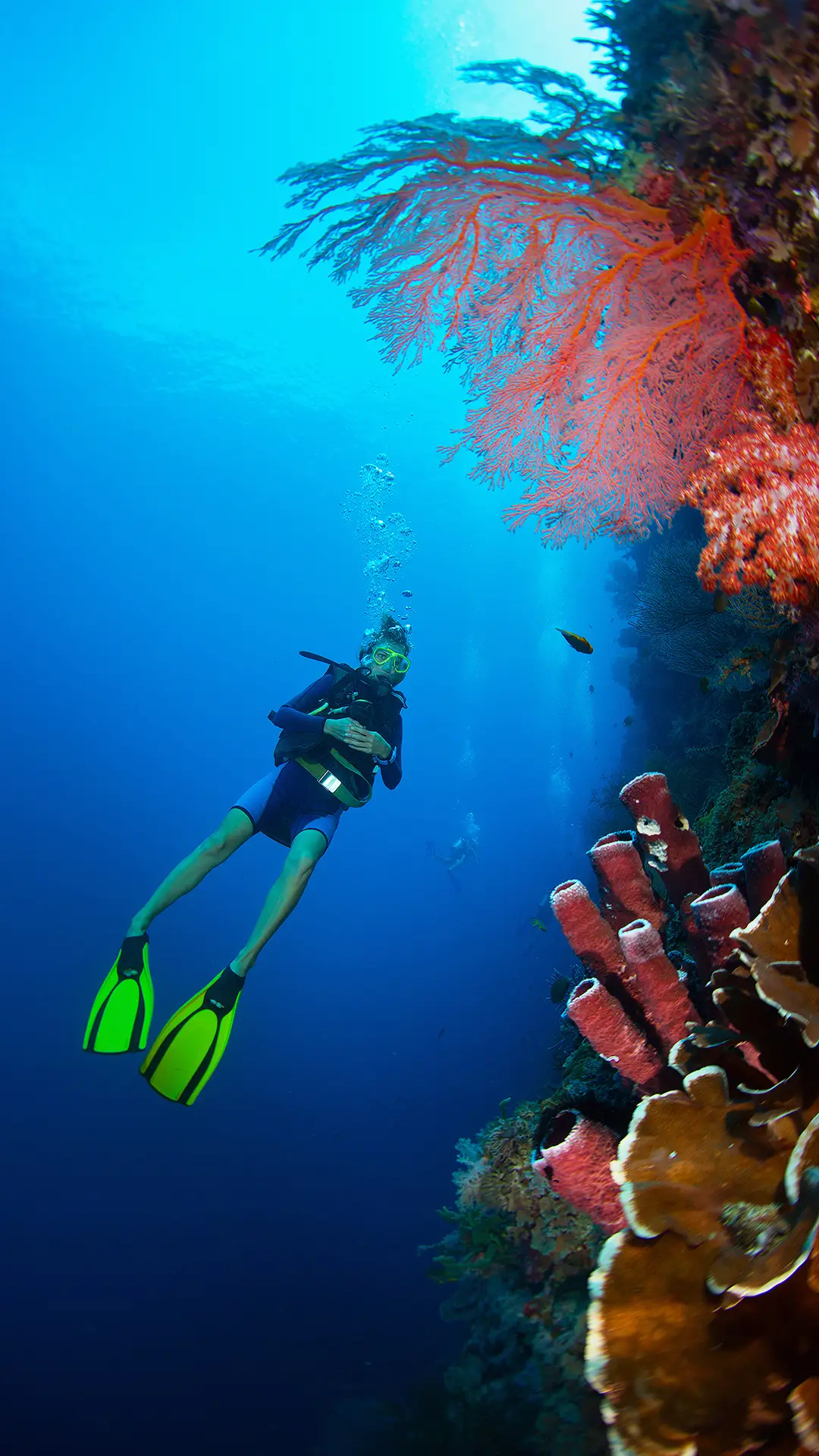 极限潜水-拍信图库
