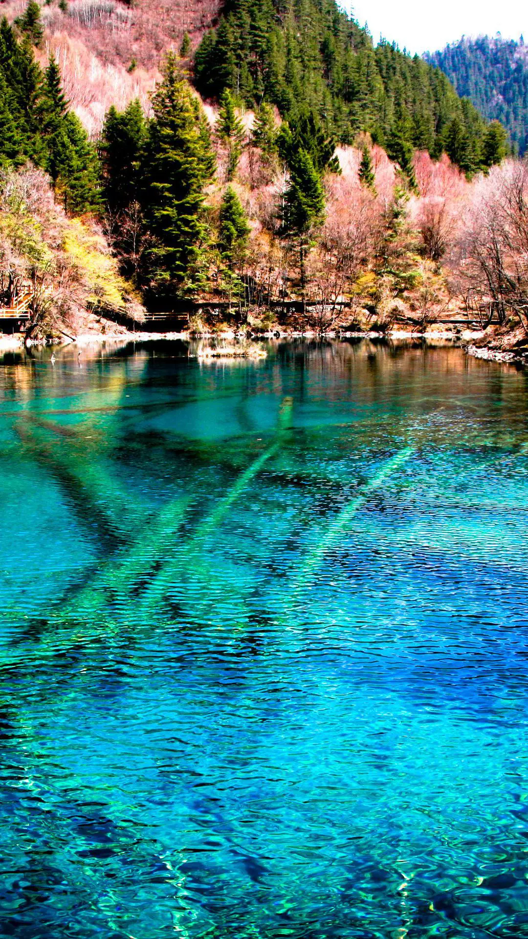 深彩境地-视觉中国