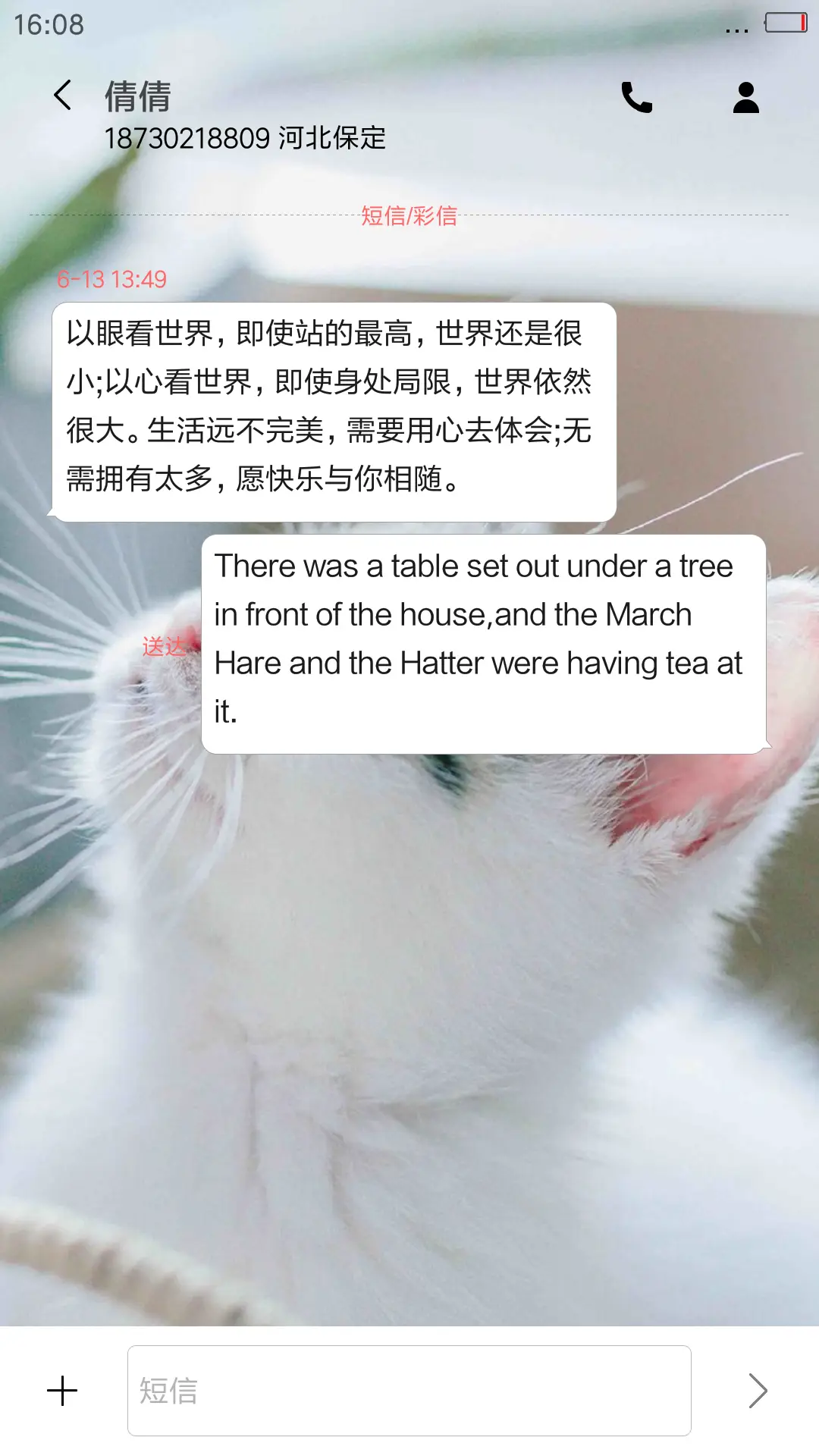 萌猫（不信你不喜欢啊） - Screenshot 8