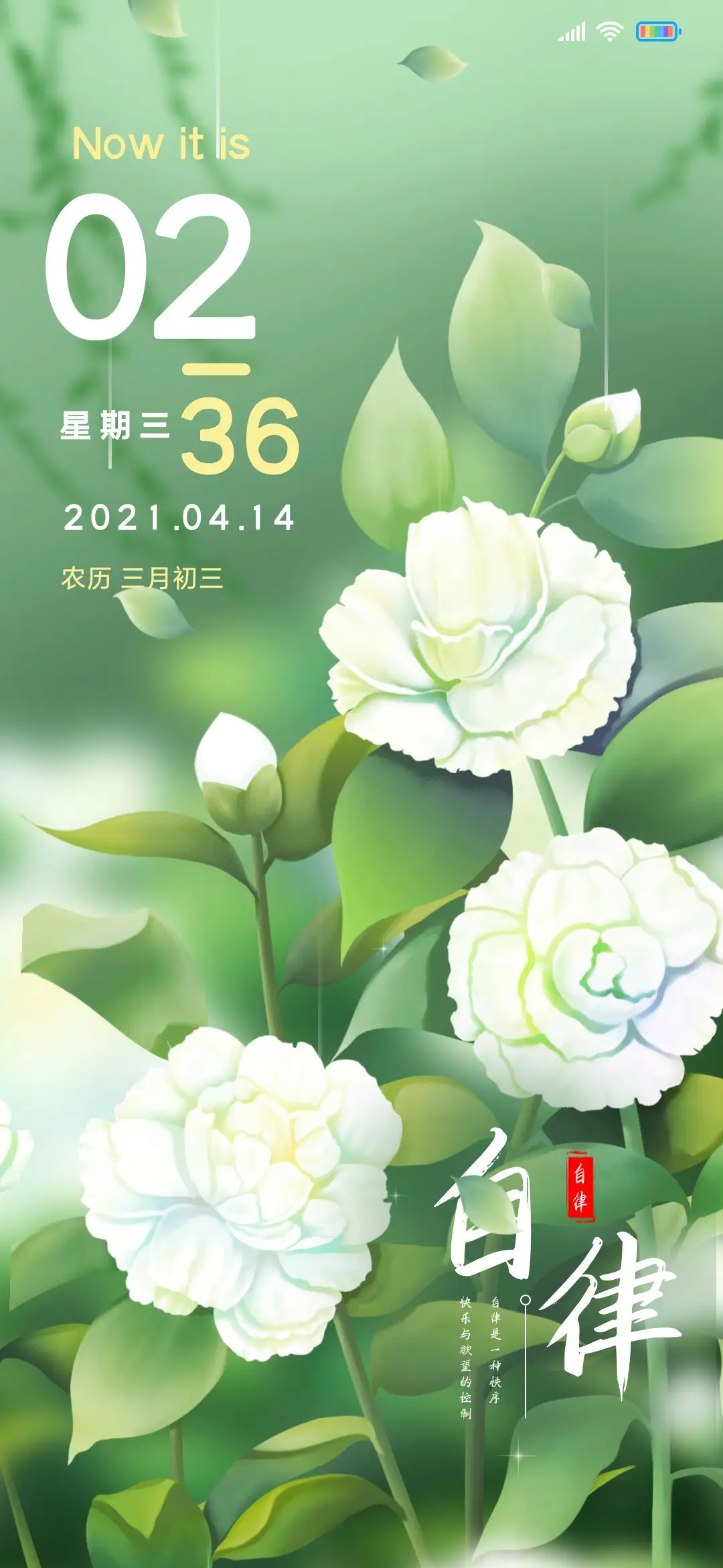 清新护眼茶花开