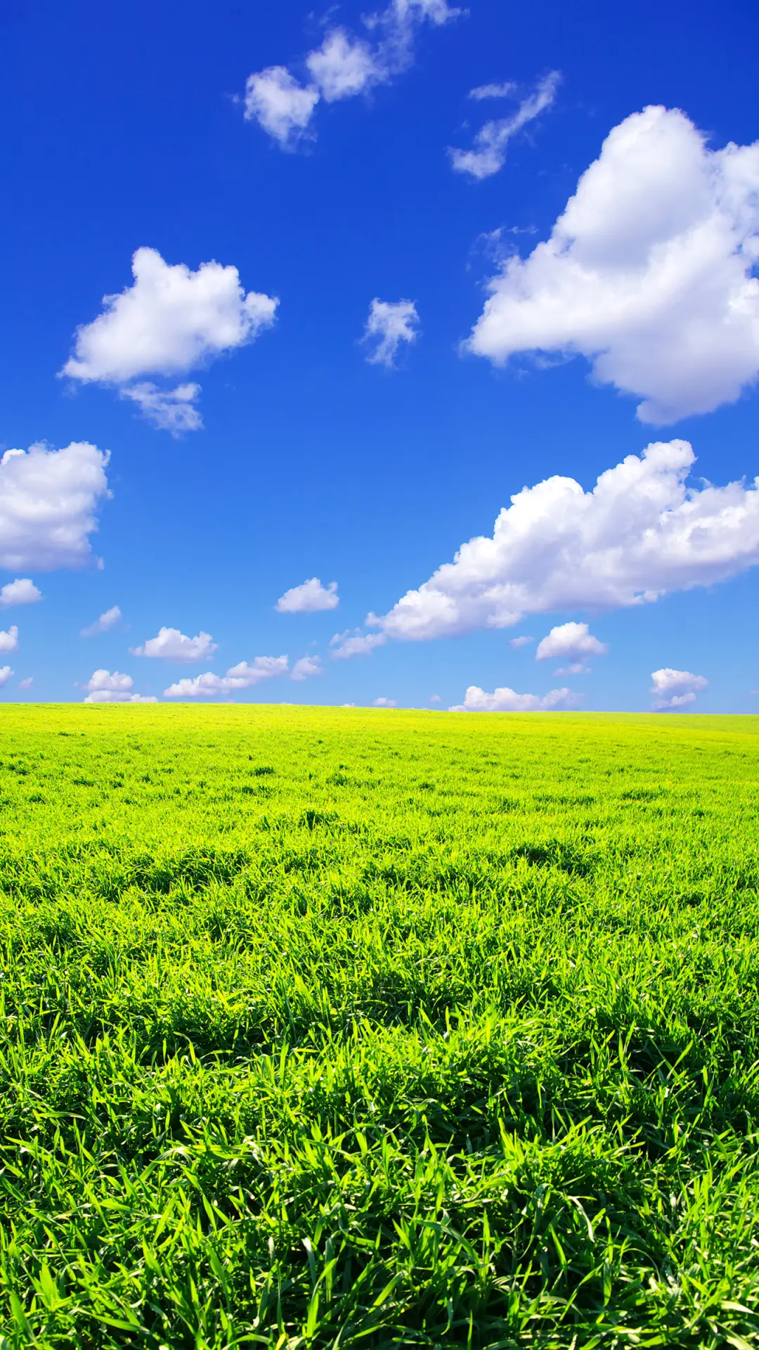 绿草蓝天-拍信图库