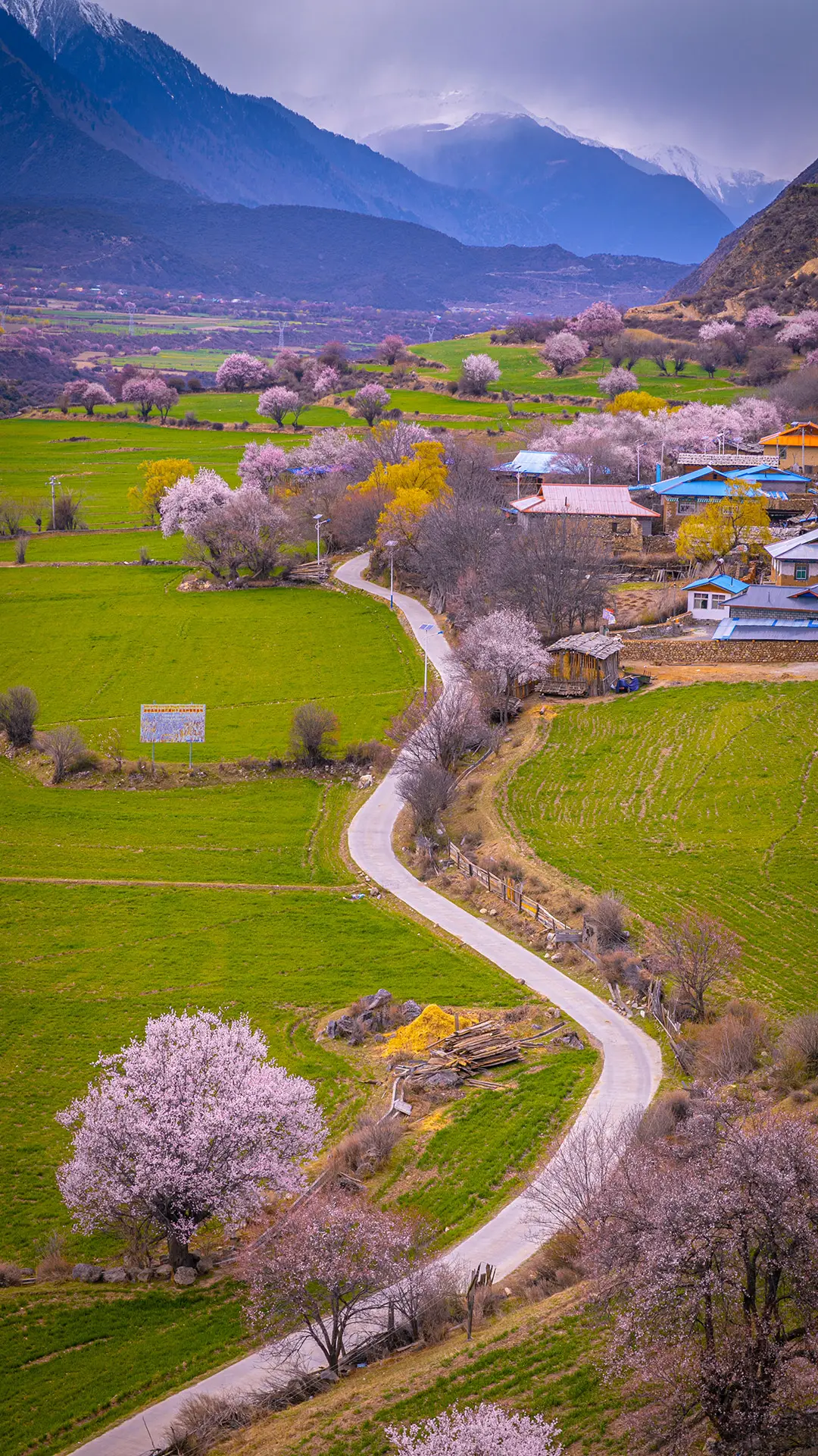 西藏 一心向往的净土