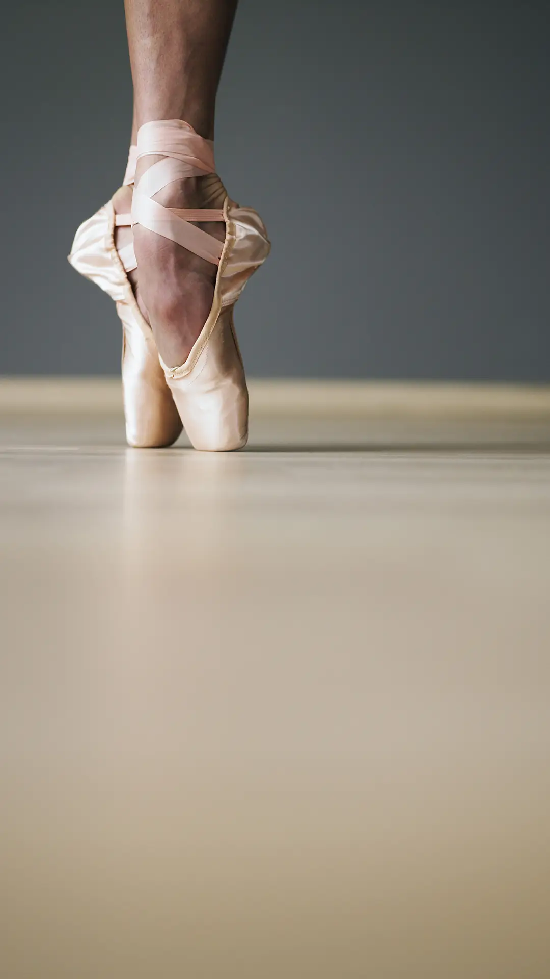 极致优雅的芭蕾舞 - Screenshot 1