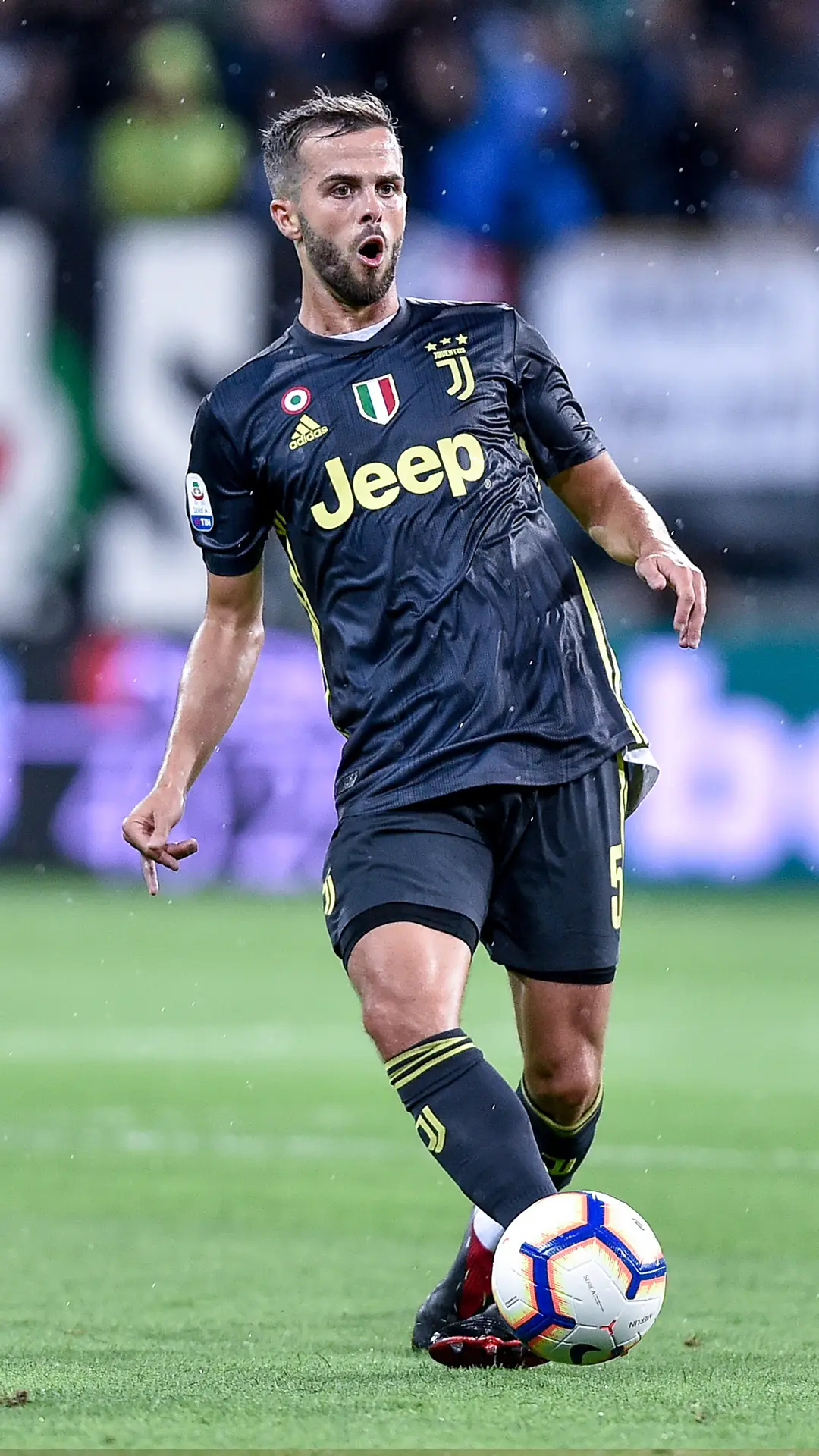 波黑国脚皮亚尼奇 