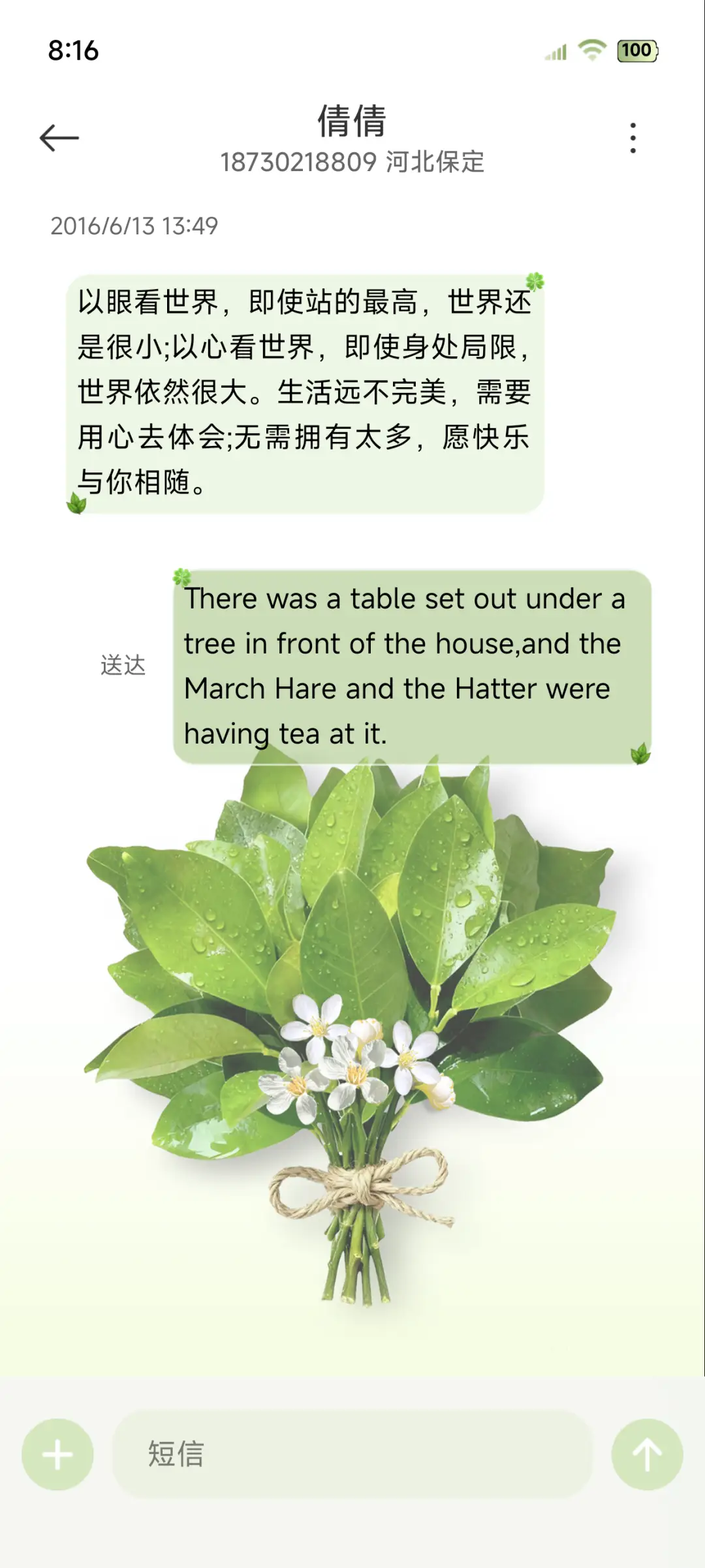 大图标柚子叶护体 - Screenshot 8