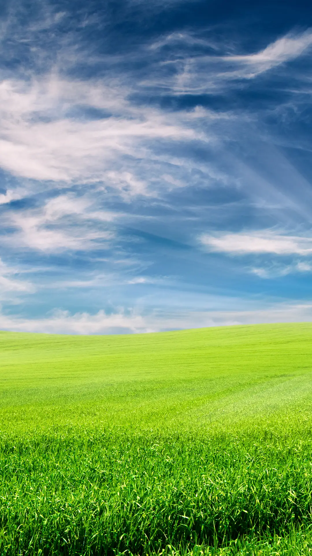 绿草蓝天-拍信图库 - Screenshot 1