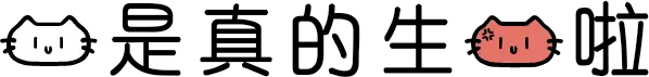 我是真的生气啦