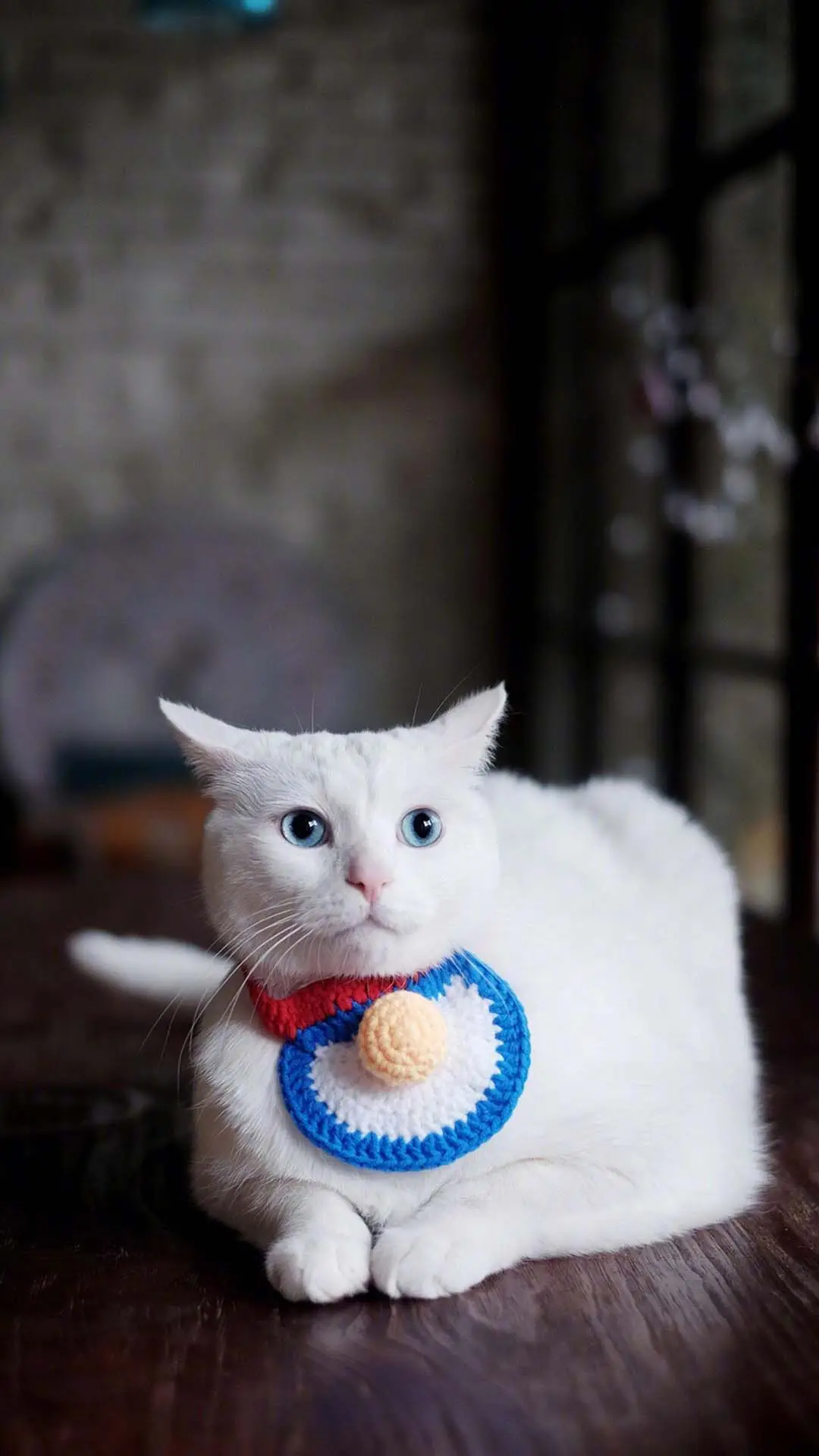 可爱萌宠喵星人酥饼 - Screenshot 1