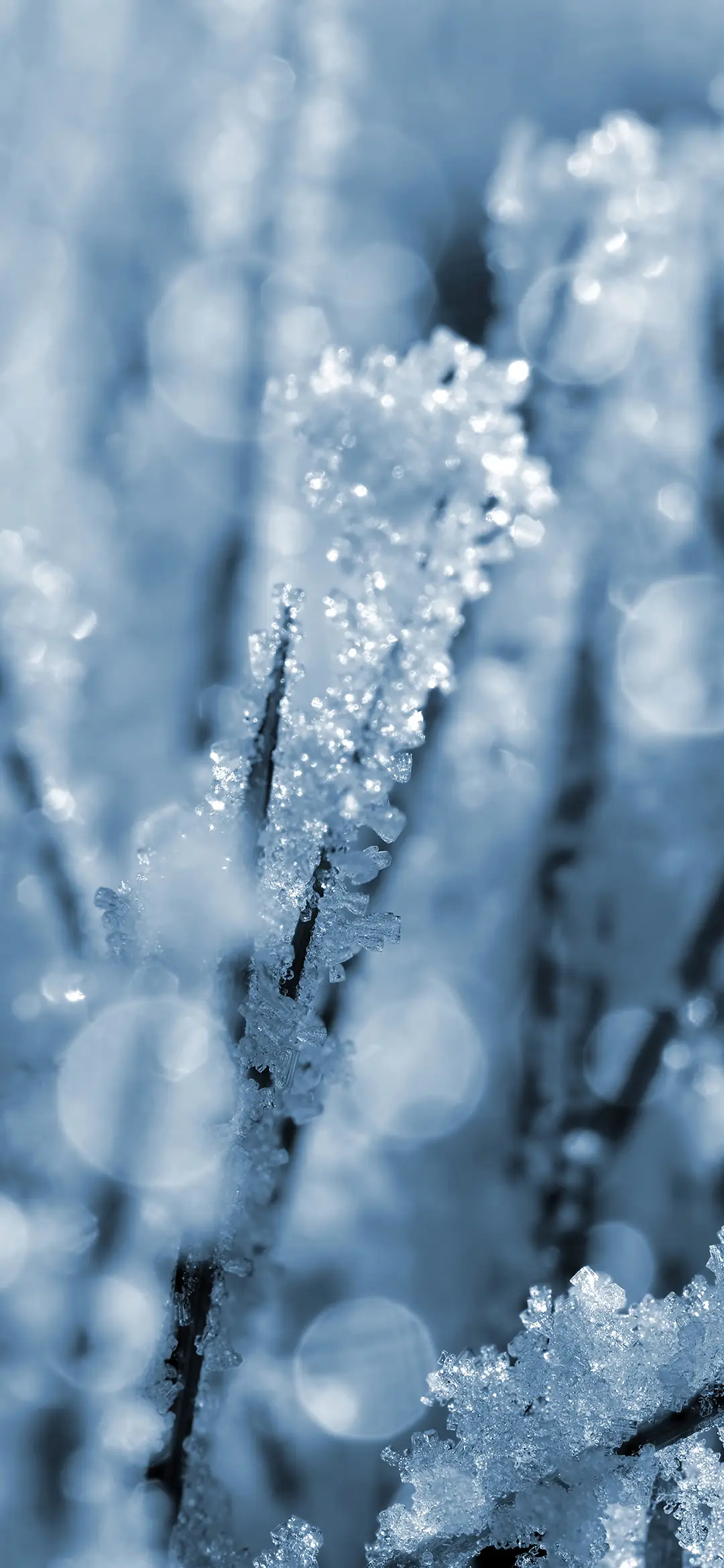 美丽霜花壁纸-锐景创意