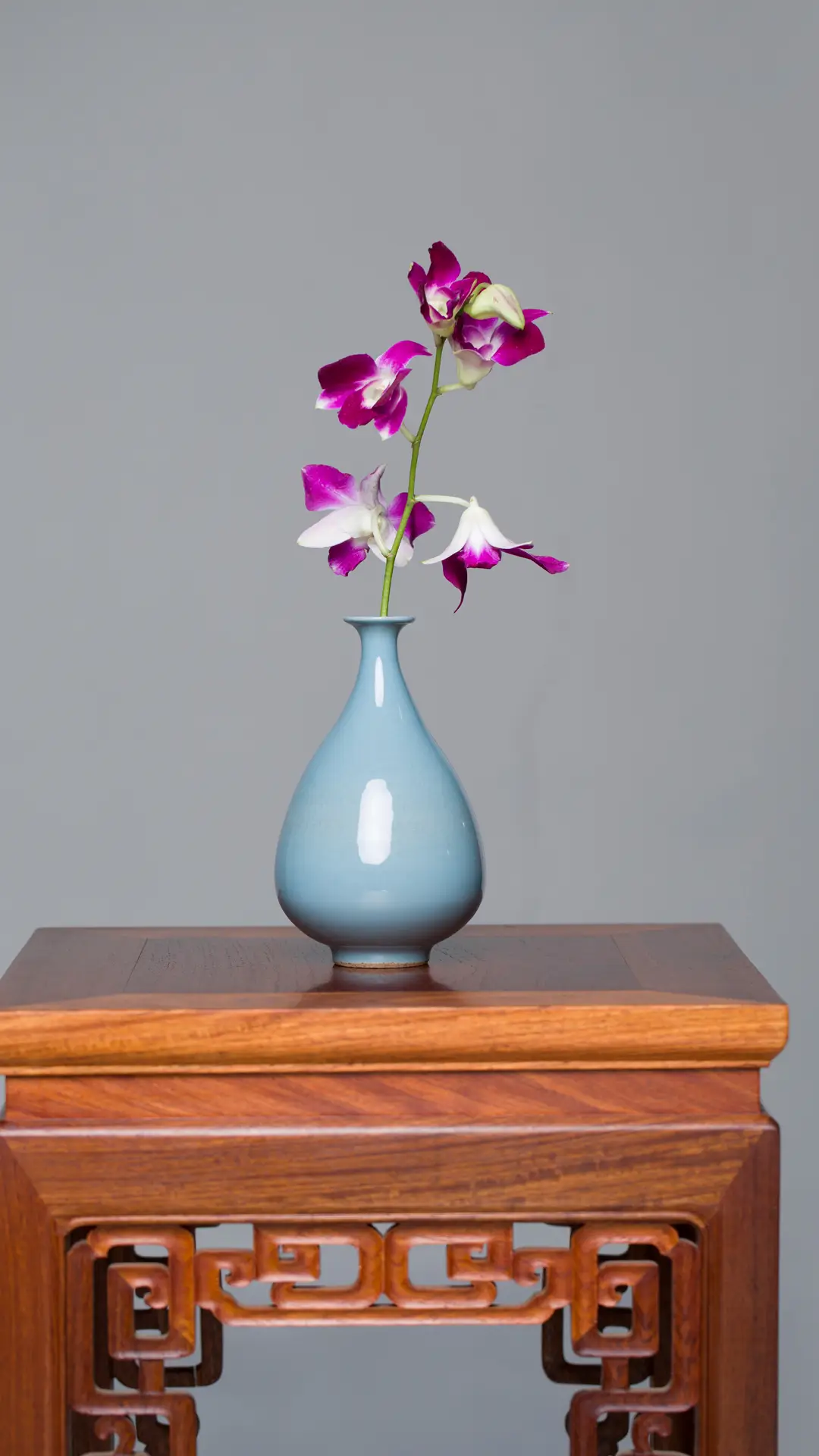 简约插花添加家居美感 - Screenshot 1