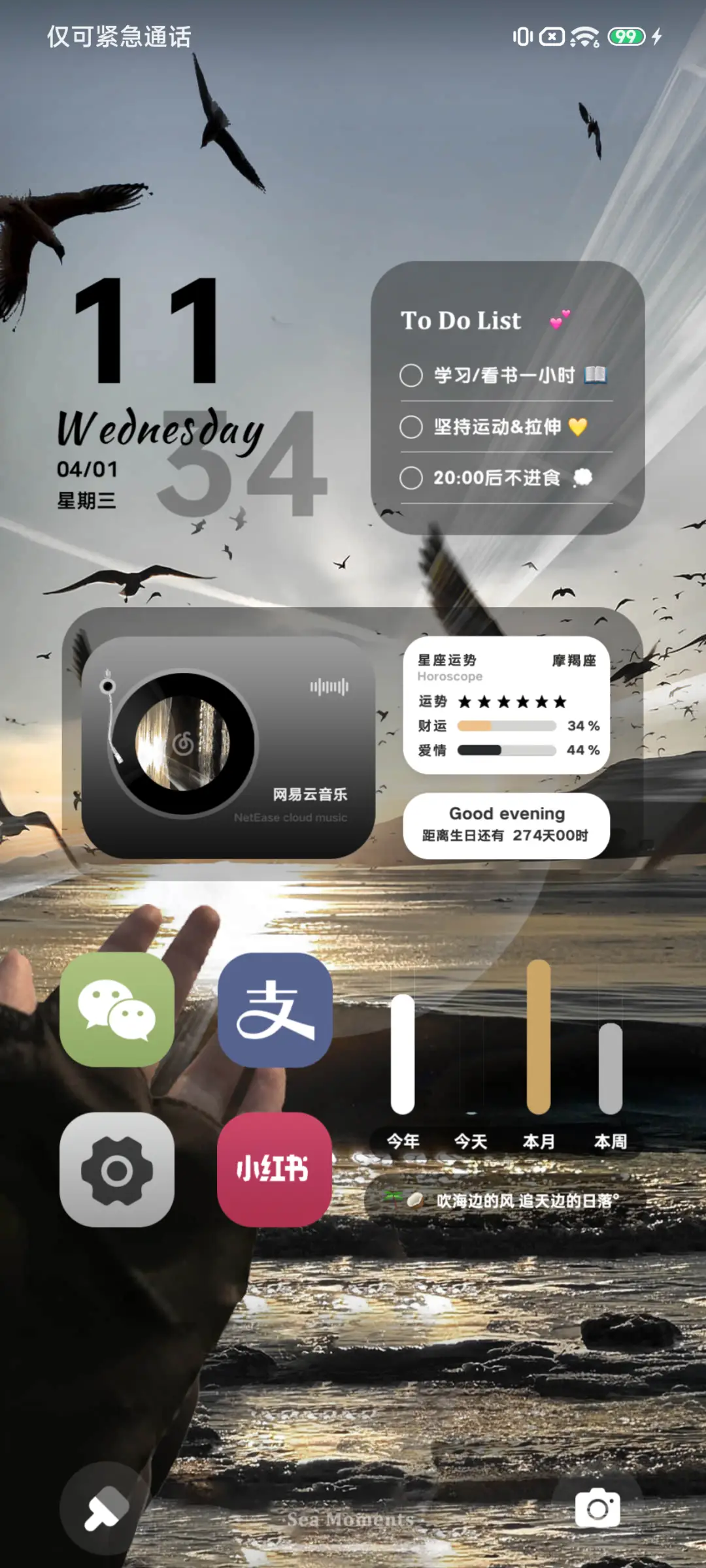 Pro 海鸥与日落 - Screenshot 4