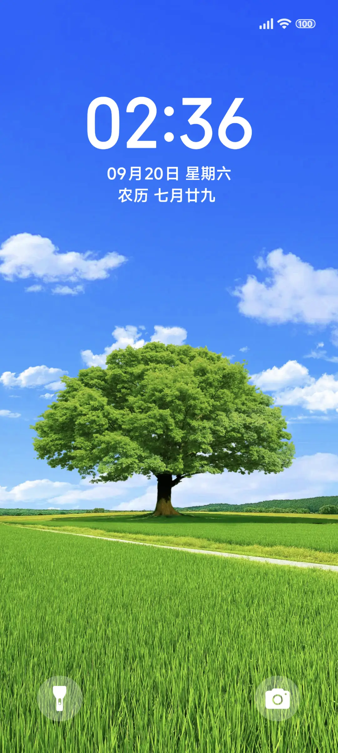 护眼一颗孤独的树 - Screenshot 1