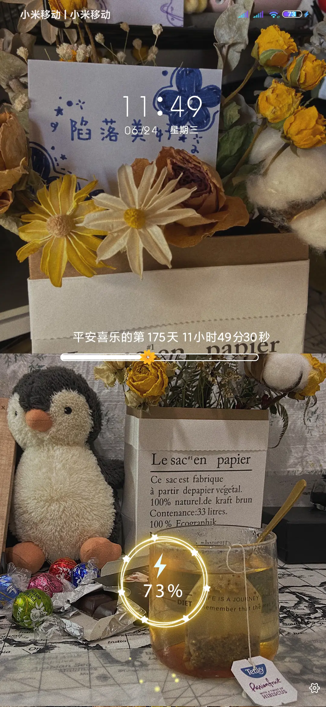 荔巧栗 陷落美好