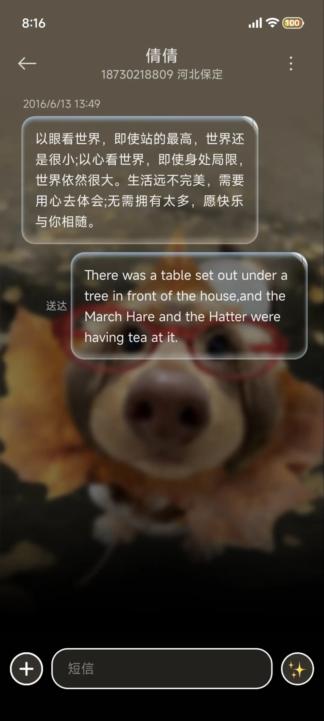 重感hello小狗 - Screenshot 11