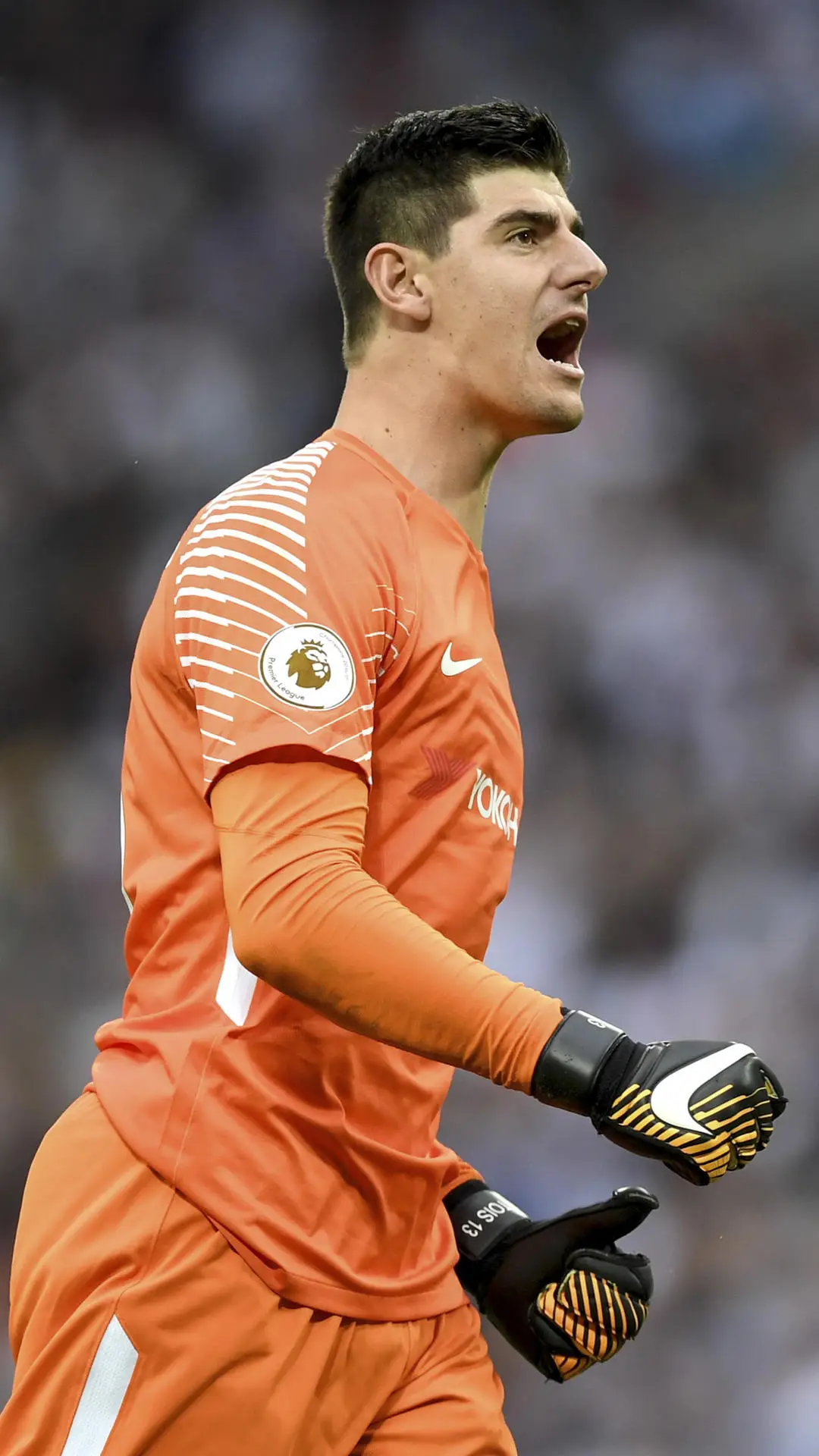 金手套库尔图瓦