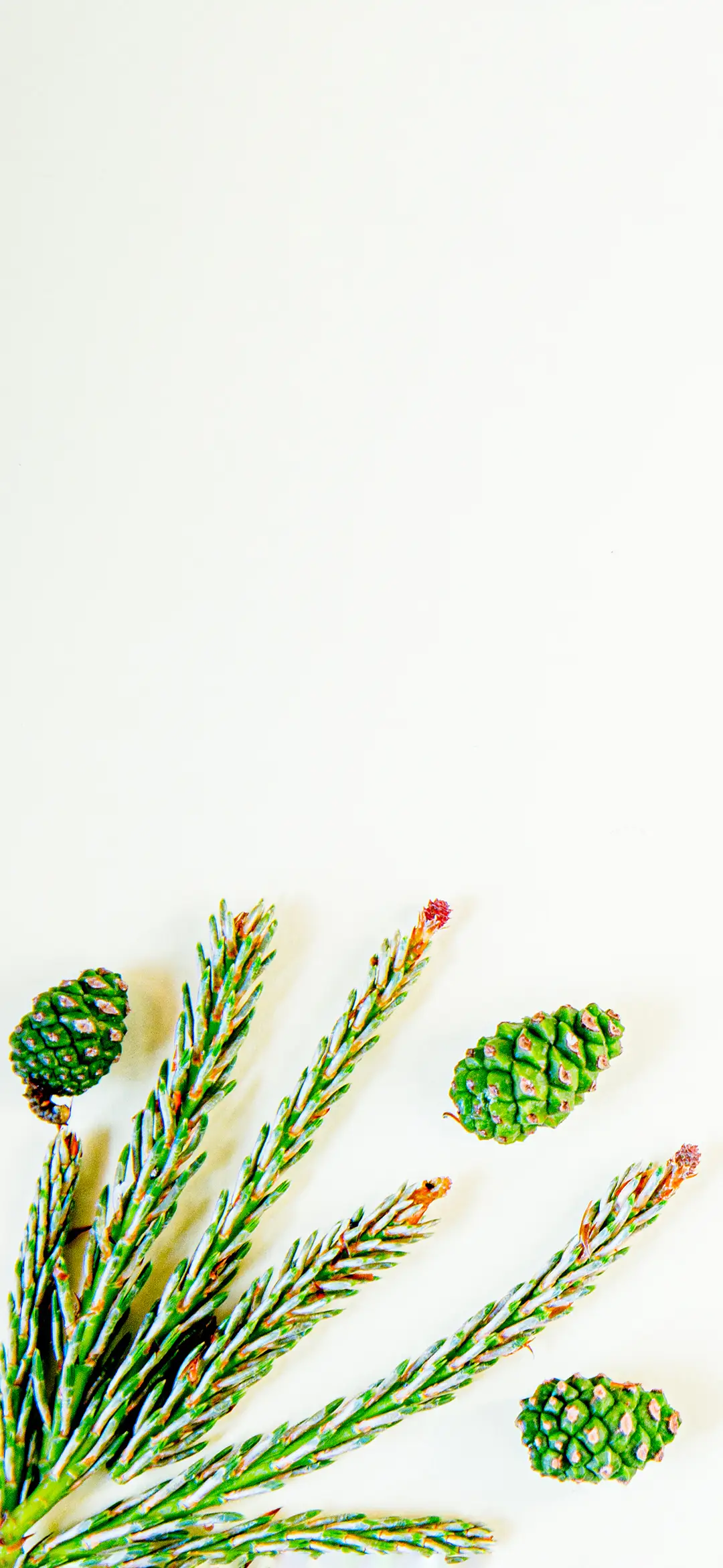 简约圣诞壁纸-锐景创意 - Screenshot 1