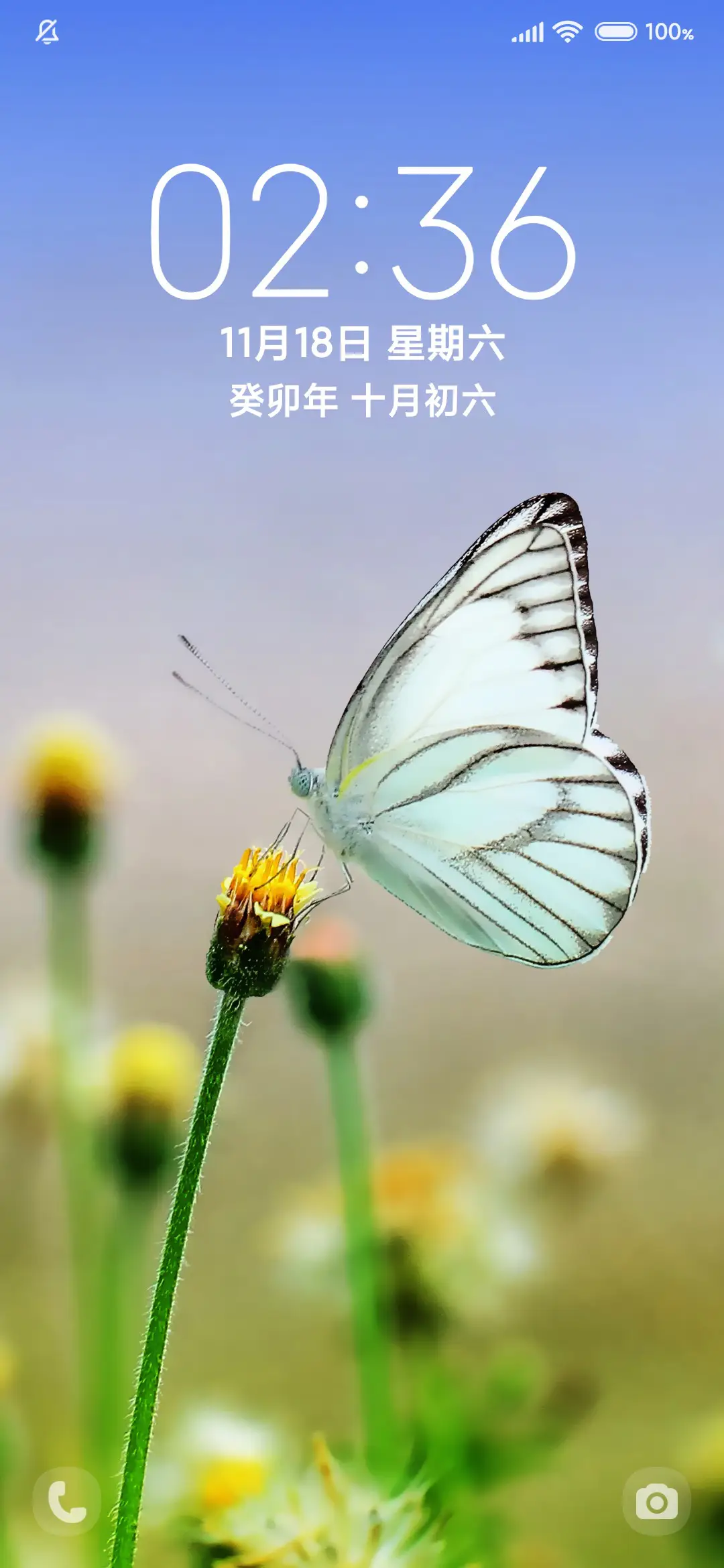 唯美蝶恋花 - Screenshot 1