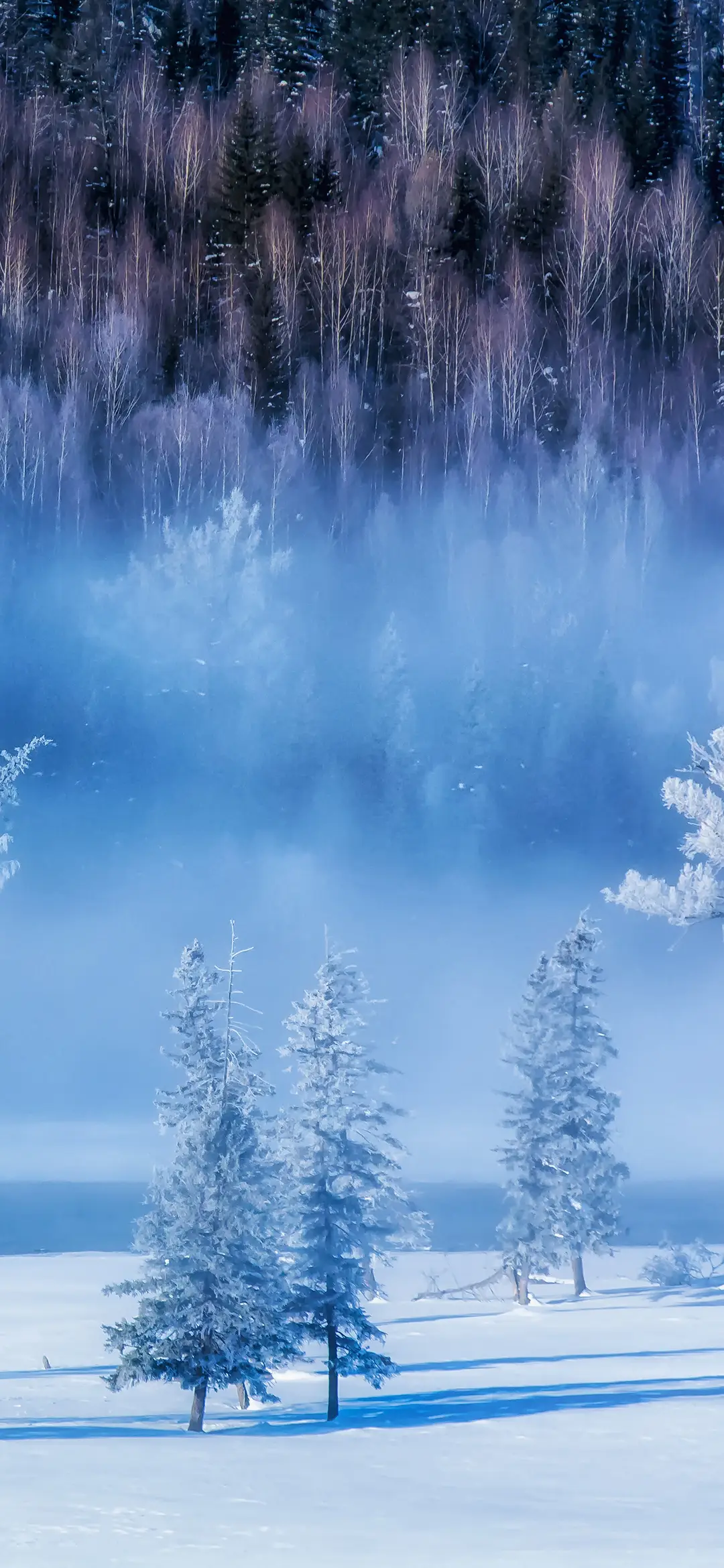 美丽景色壁纸-锐景创意 - Screenshot 1