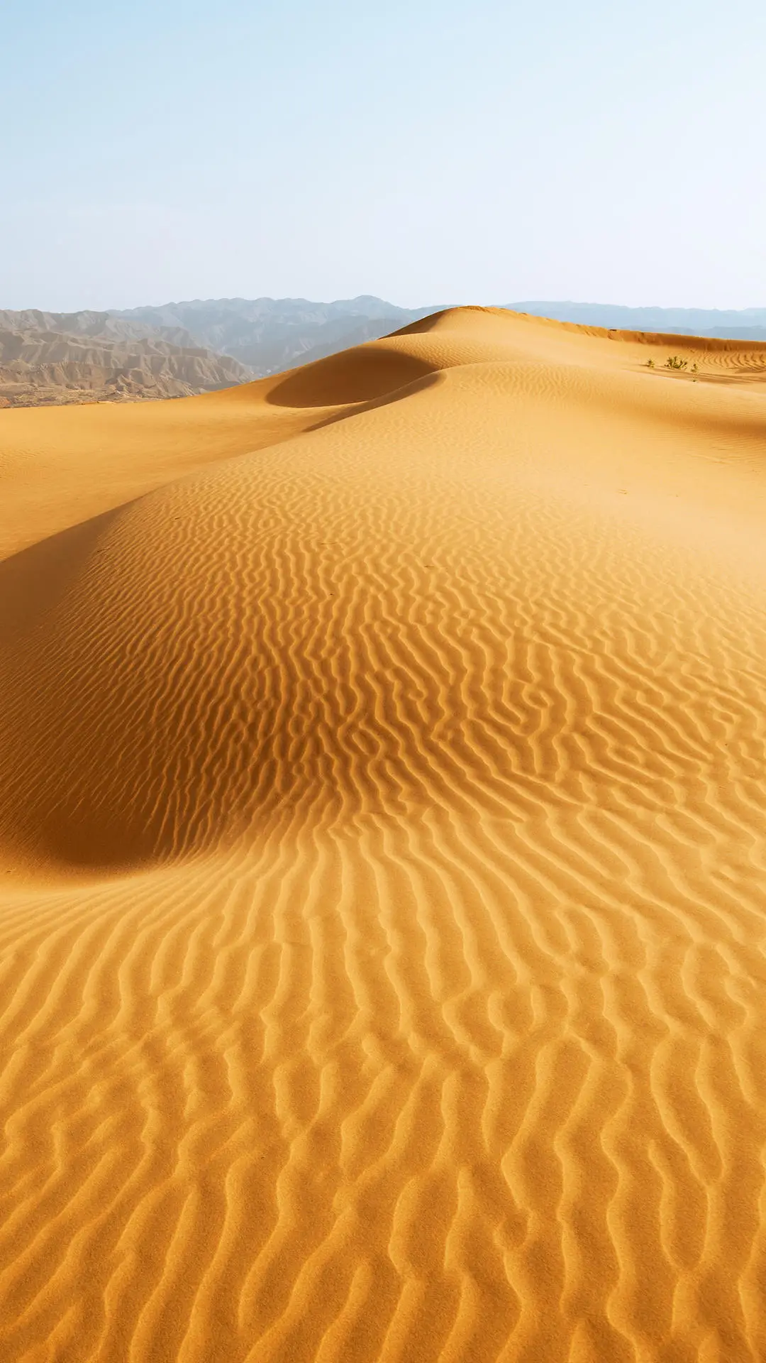 沙漠中的珠穆拉玛峰