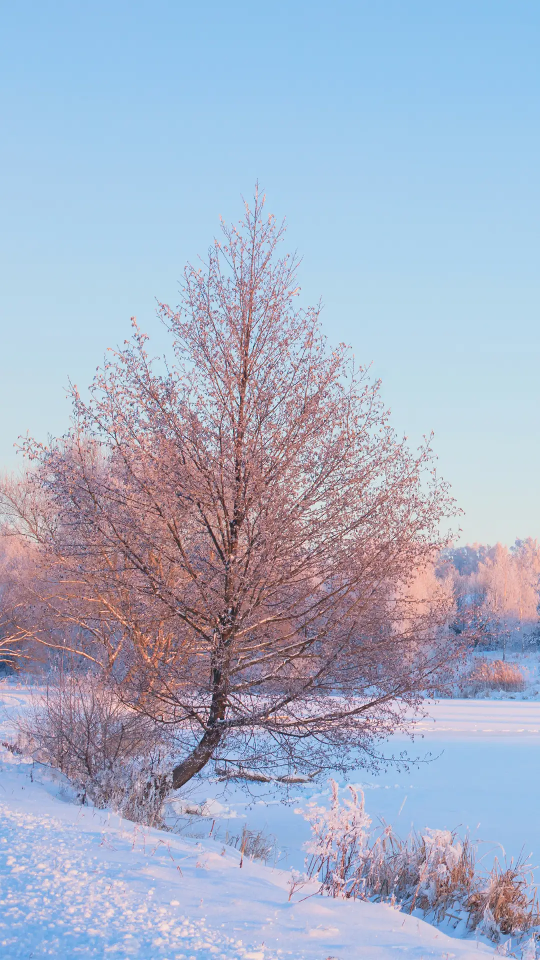 拥抱自然-拍信图库