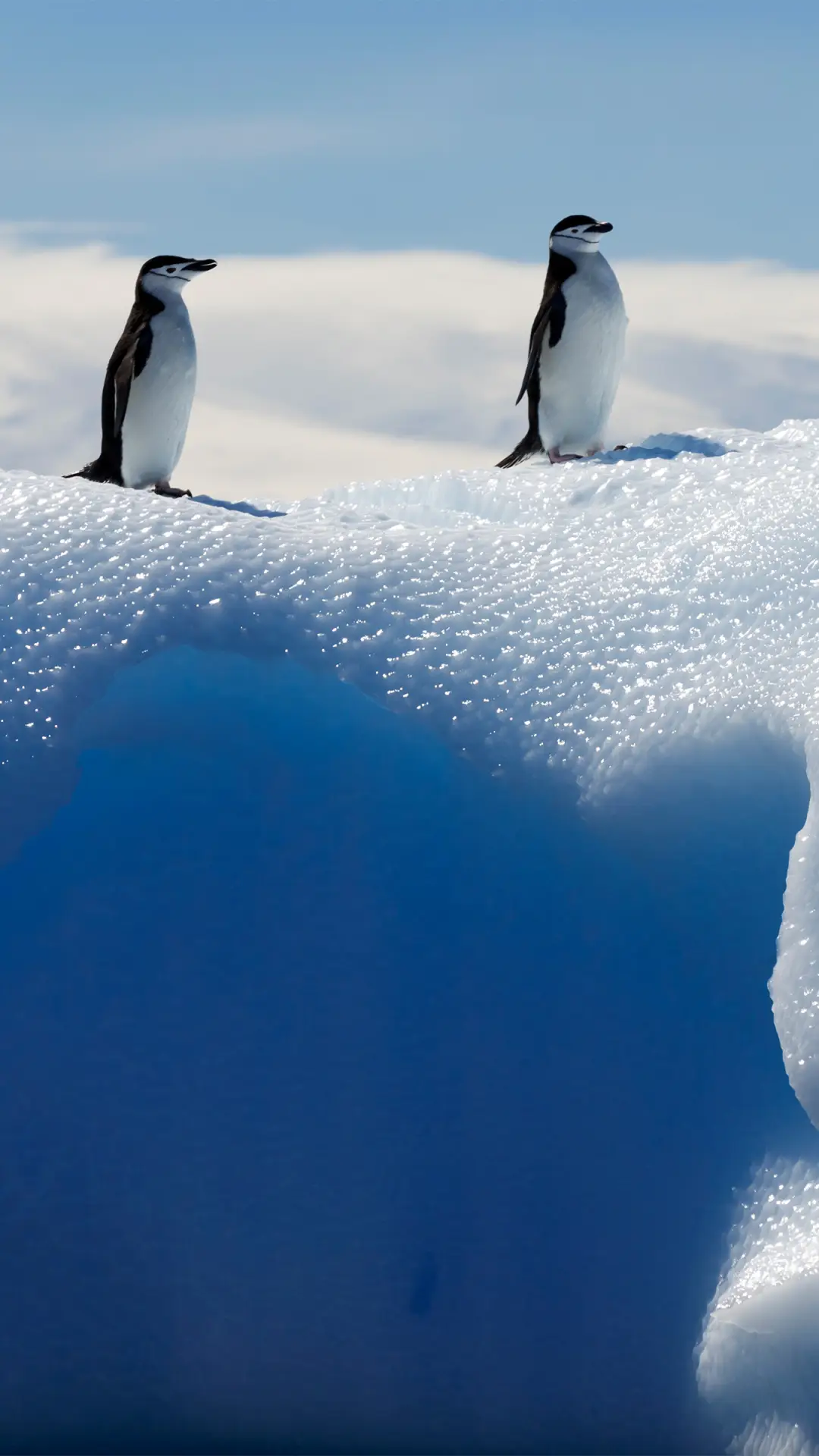 冰雪世界-拍信图库