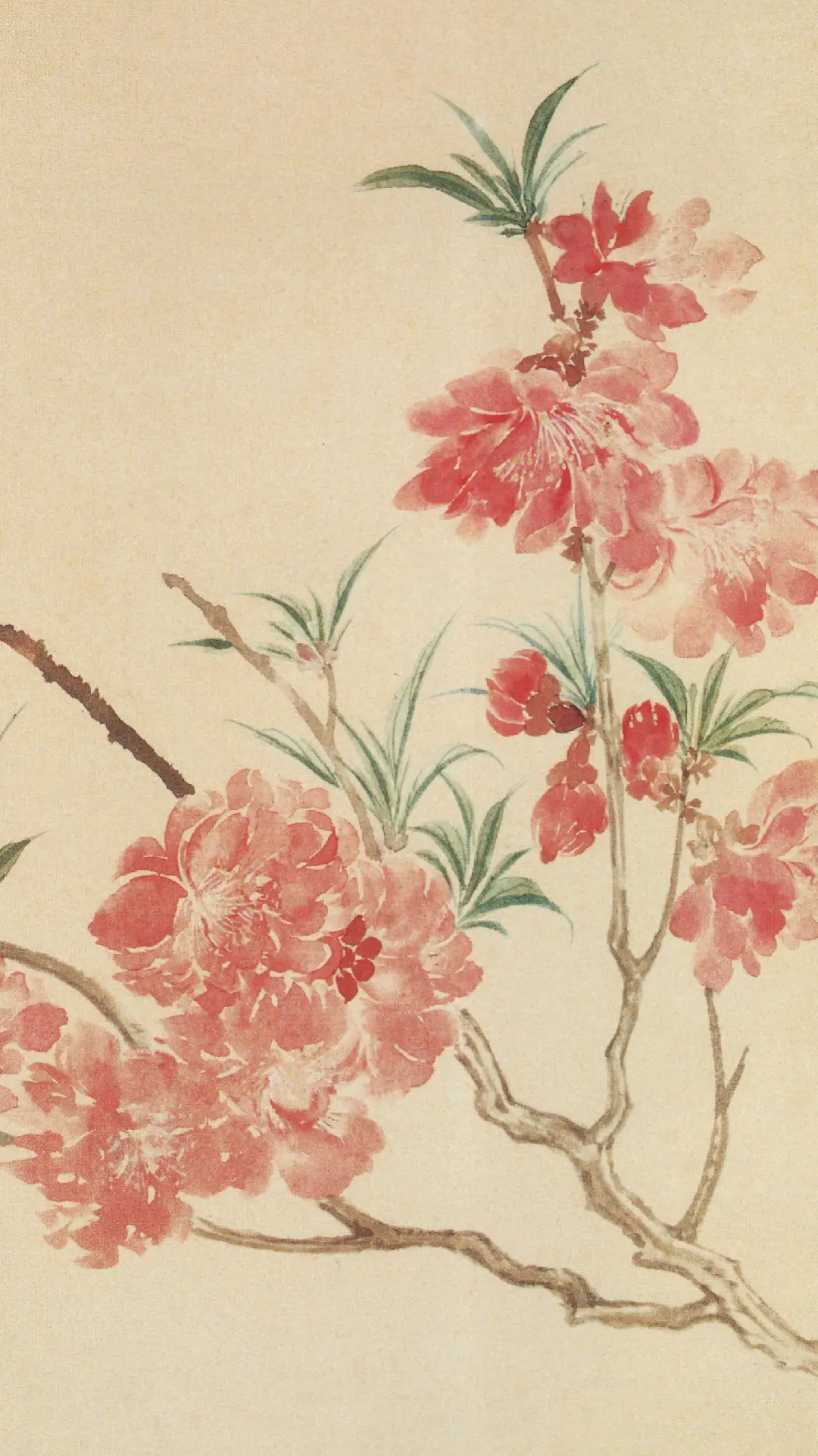 画家恽寿平作品 - Screenshot 1