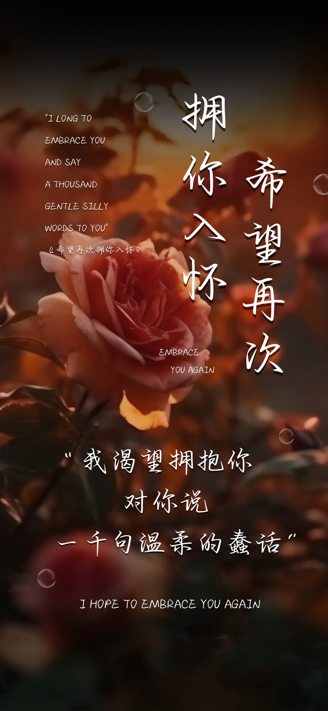 希望再次拥你入怀 - Screenshot 1