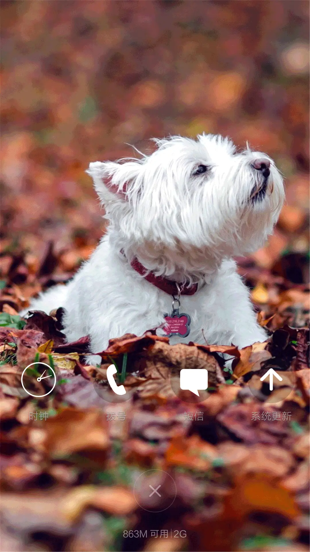 可爱萌宠动态4D锁屏 - Screenshot 4