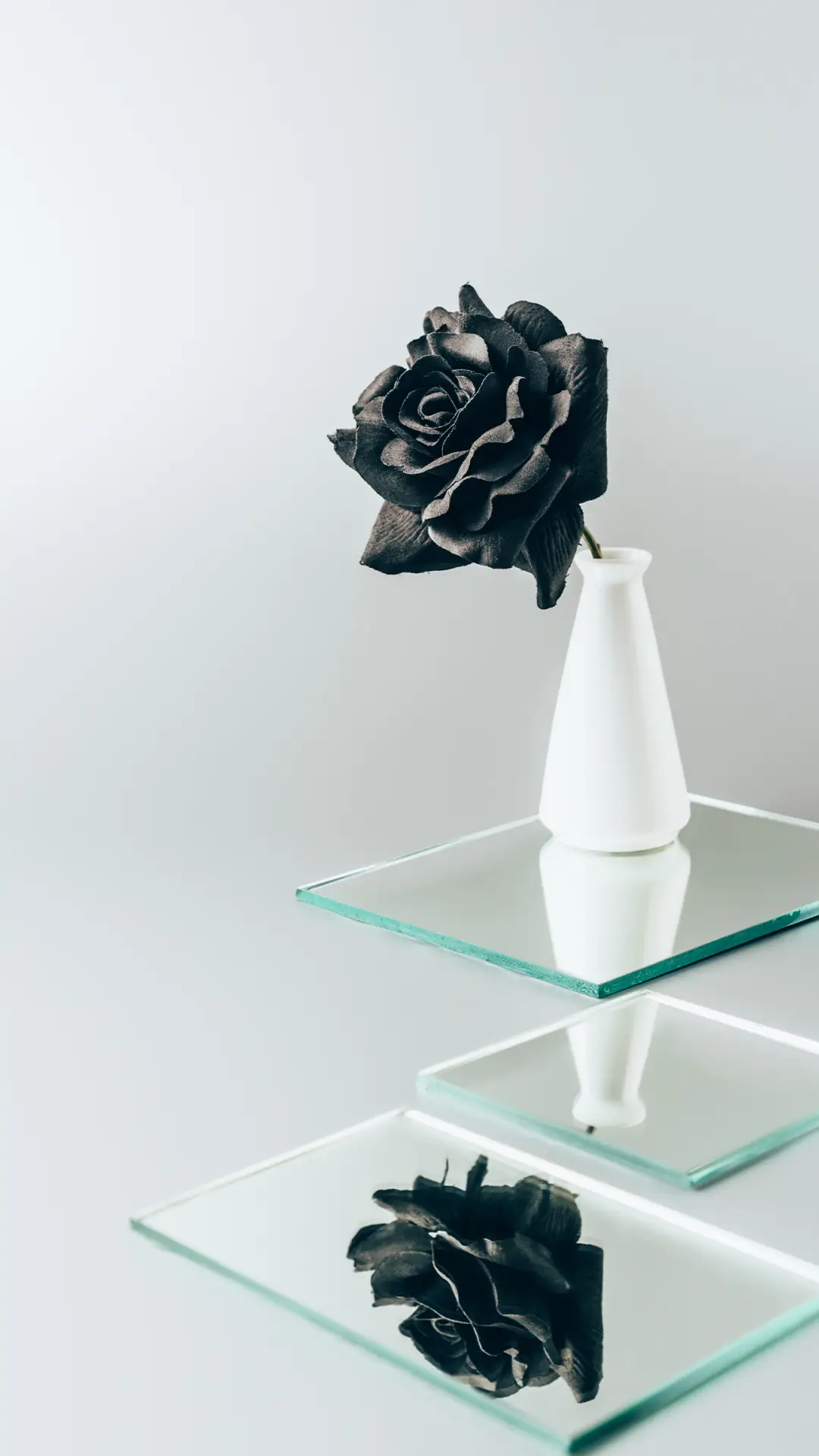 美丽的花朵-拍信图库