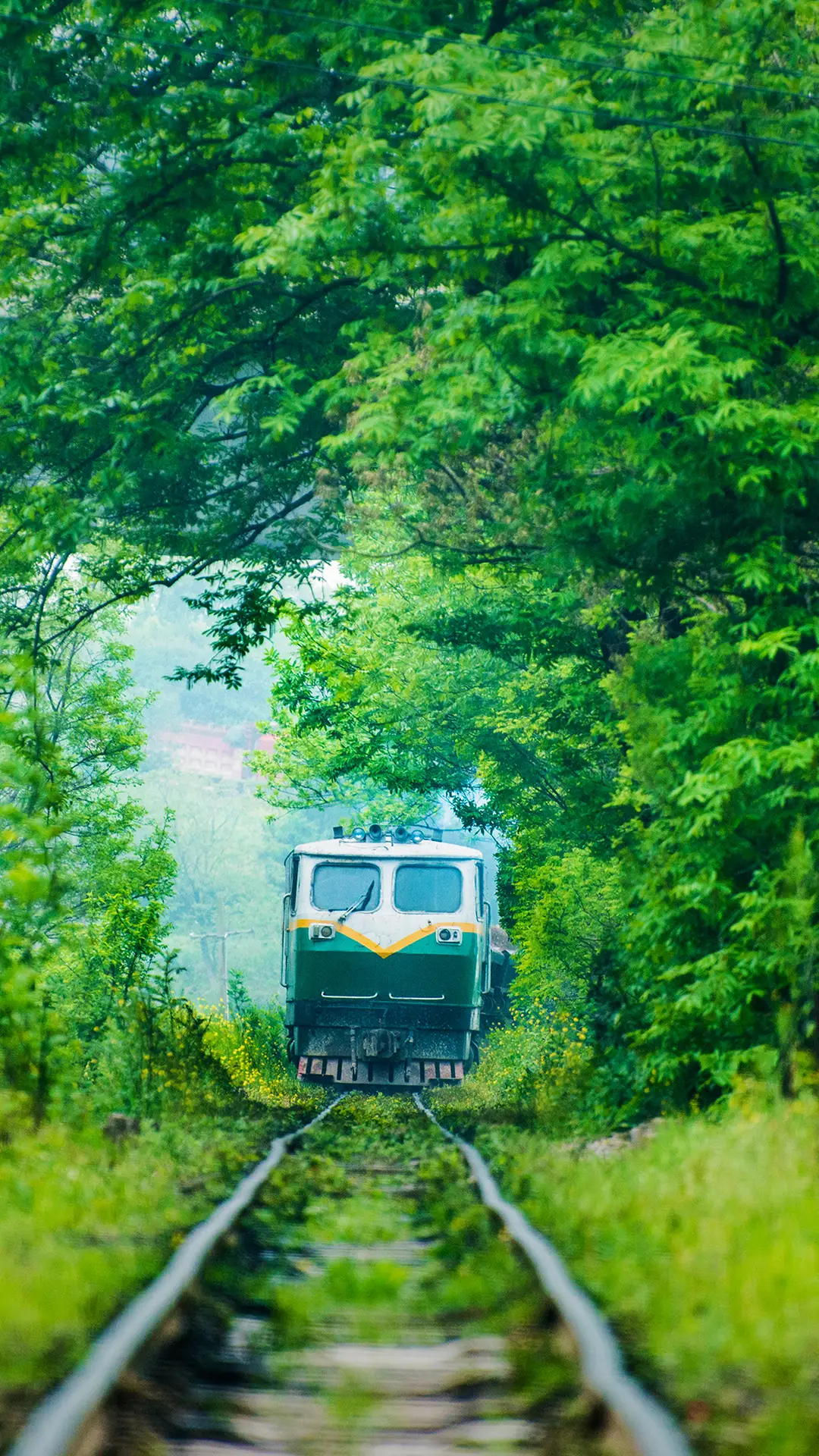 跟着火车去踏青 - Screenshot 1