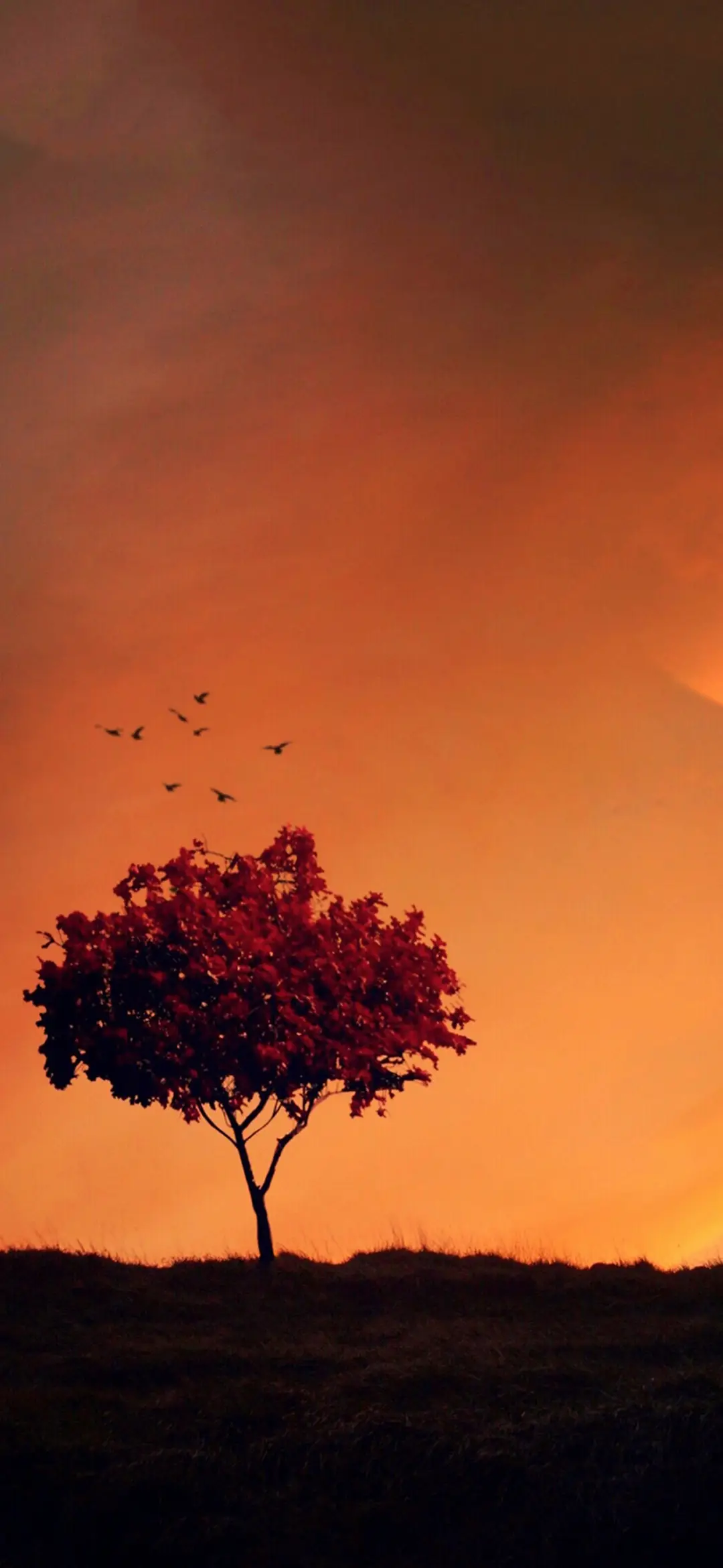 复古落日-拍信图库