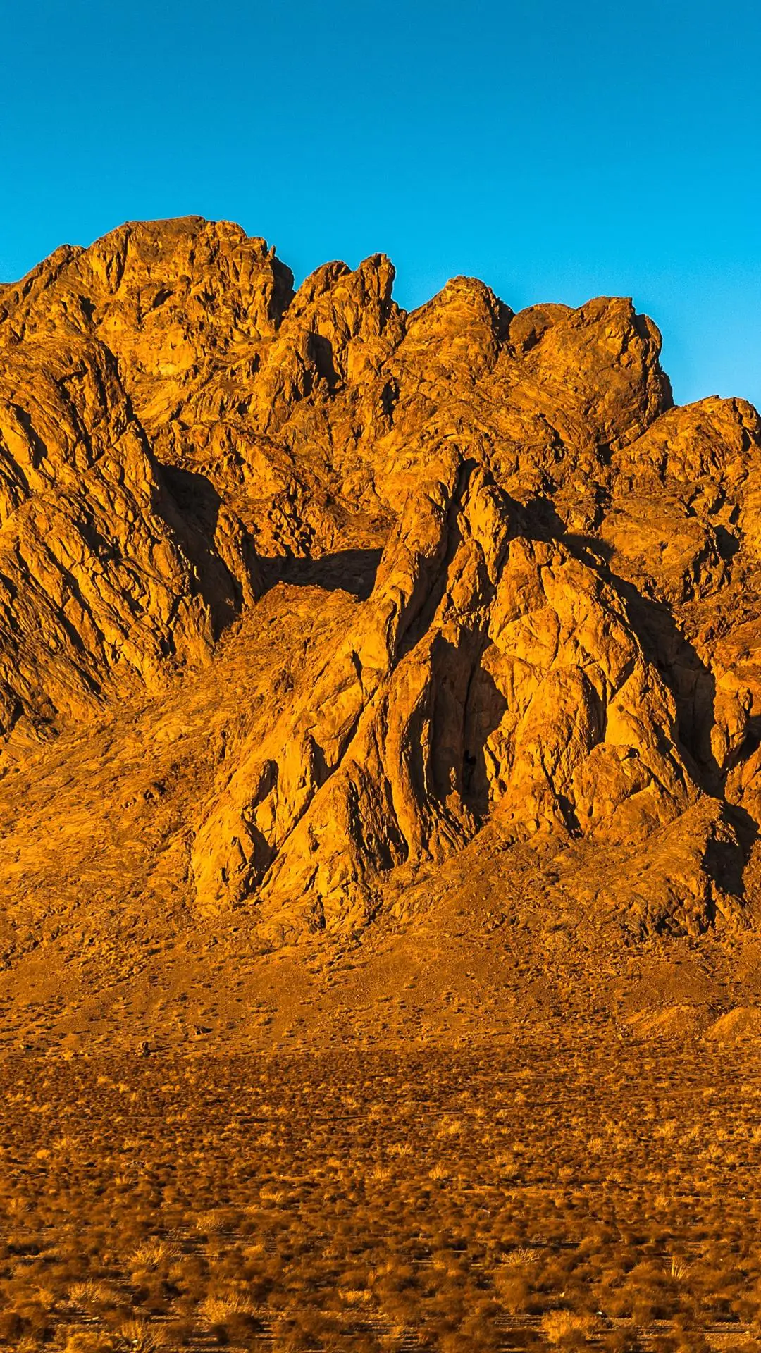 一个孤独散步者的遐想 - Screenshot 1