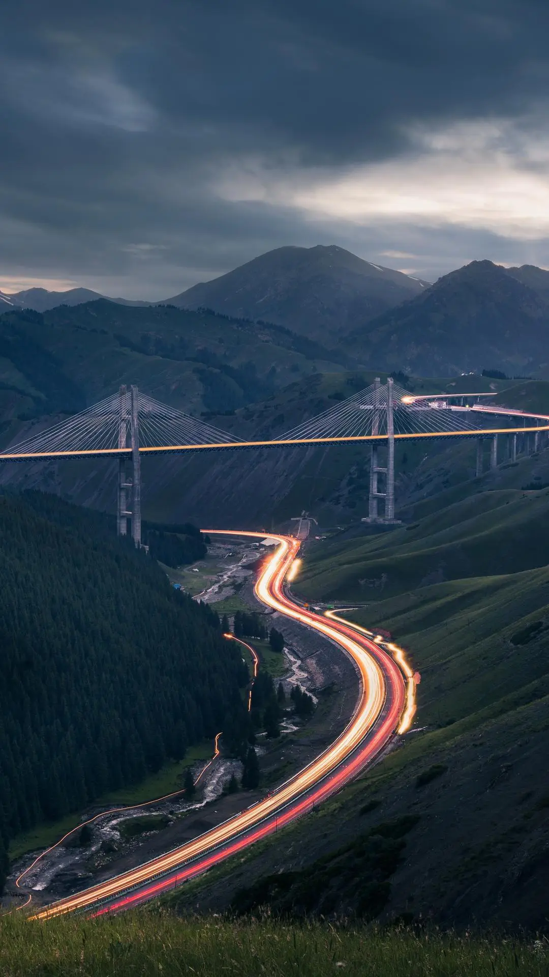 云雀叫了一整天