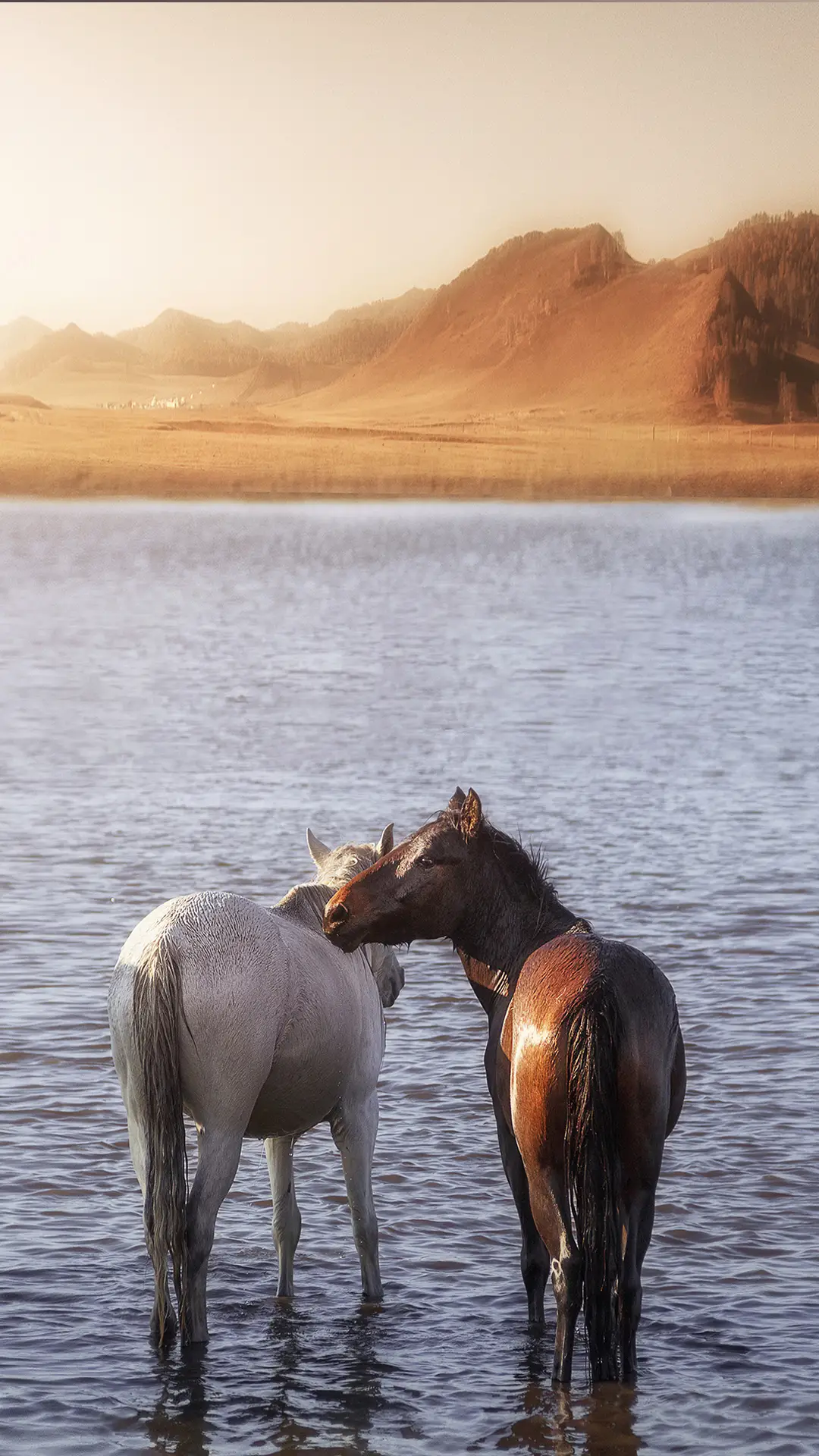 默然相爱，寂静欢喜 - Screenshot 1