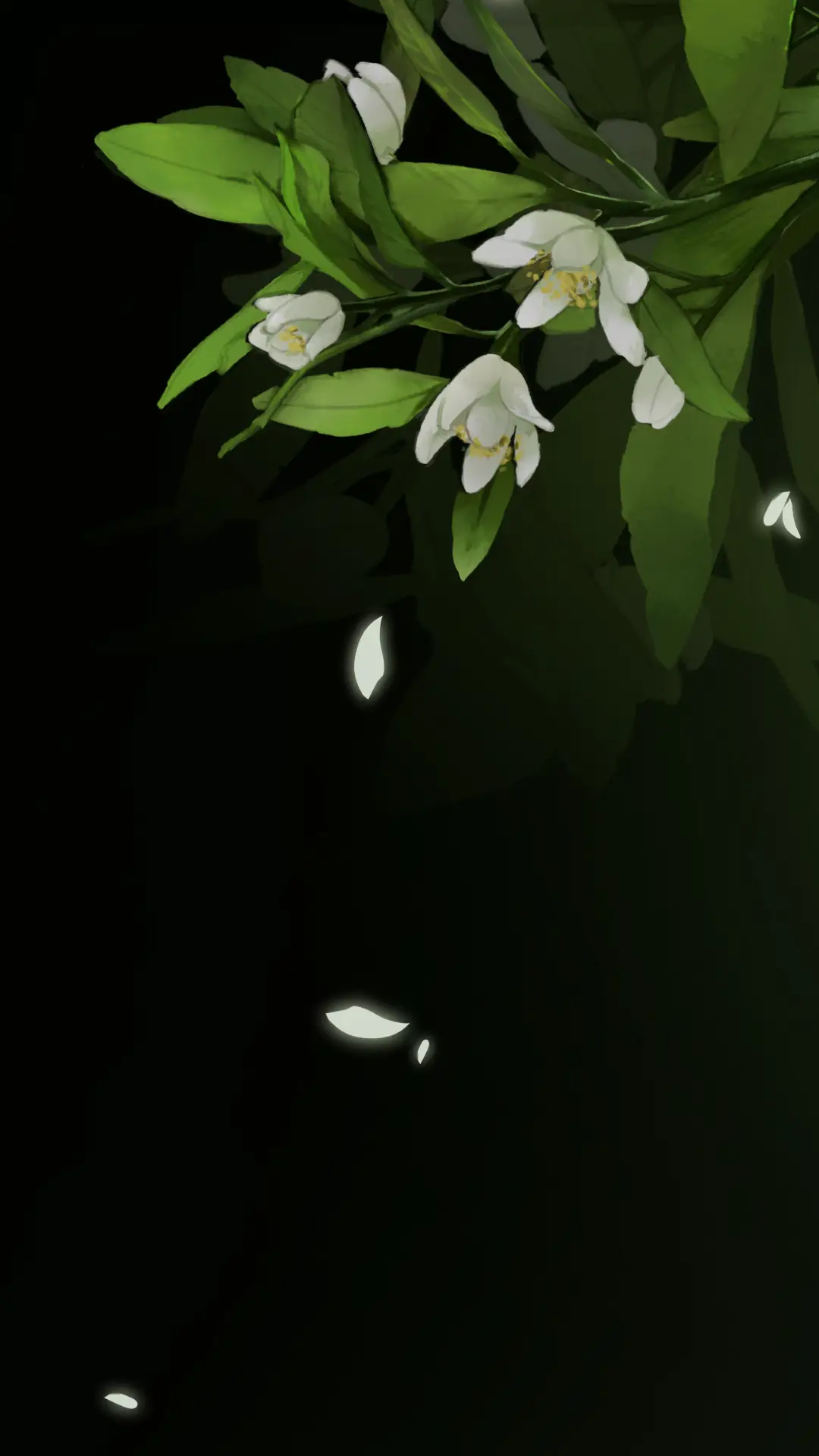 清雅 - Screenshot 1